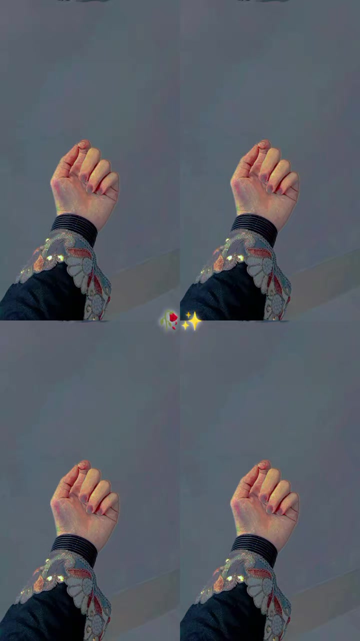 @(｡✿Z&Iuml;dd&Iuml;‿CHŌKRH&Iuml;✿｡)