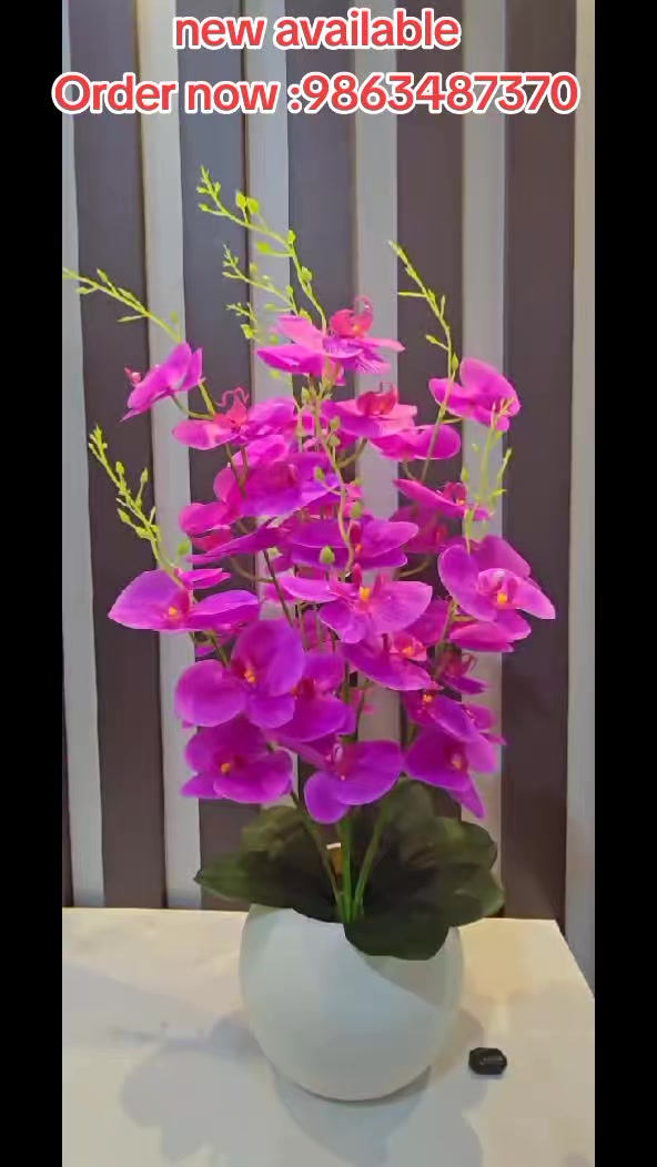 @Flora_p0int-dhumbarahi