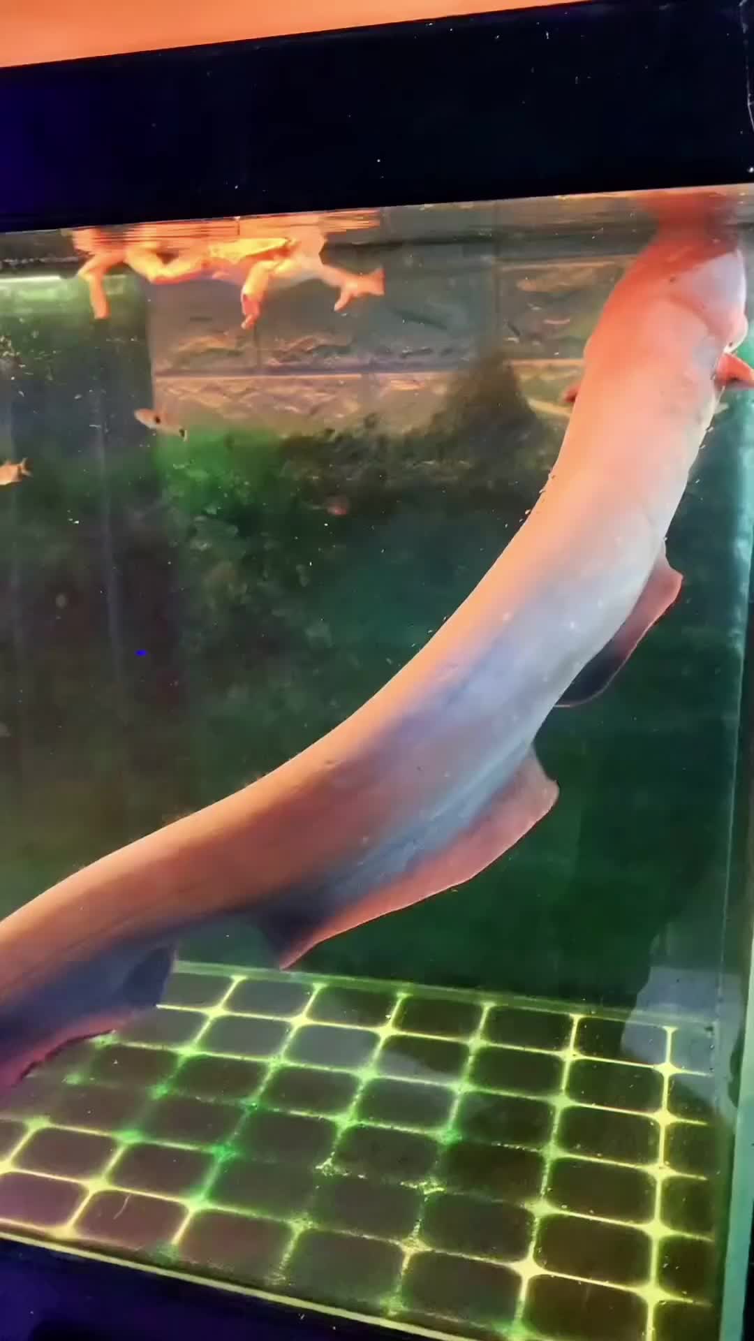 @CurioGlobe