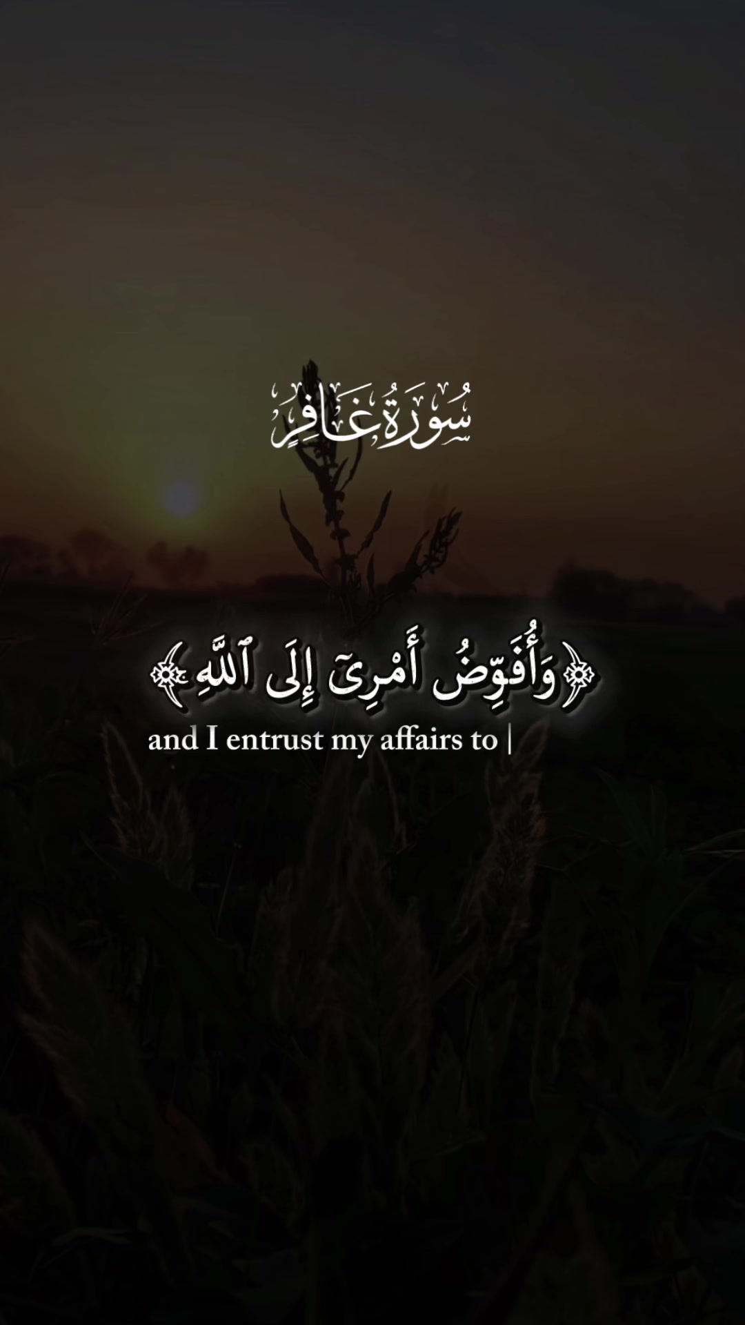 @&laquo;☆🇪🇬🦋𝑬𝒎⇣͢⃝🪐𝒂𝒂𝒏☆&laquo;&bull;🇺🇸