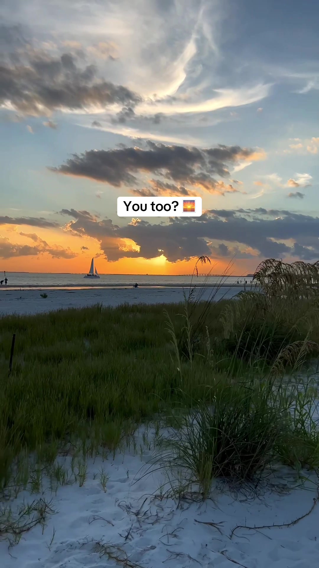 @Must See Florida