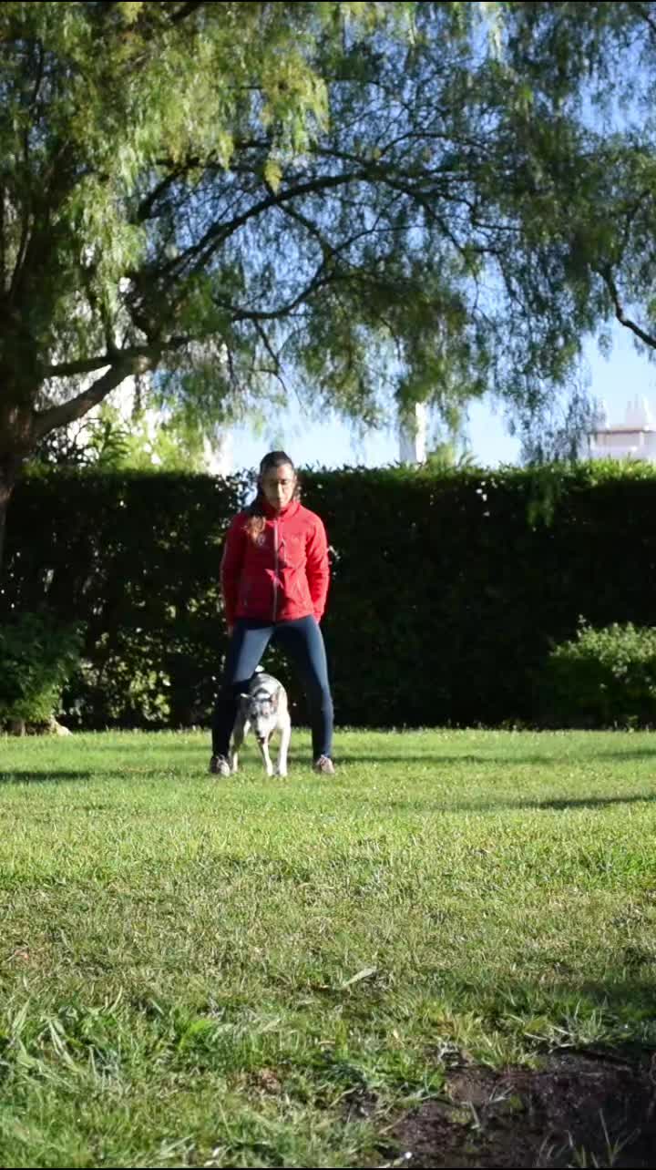 @superdogflor and company
