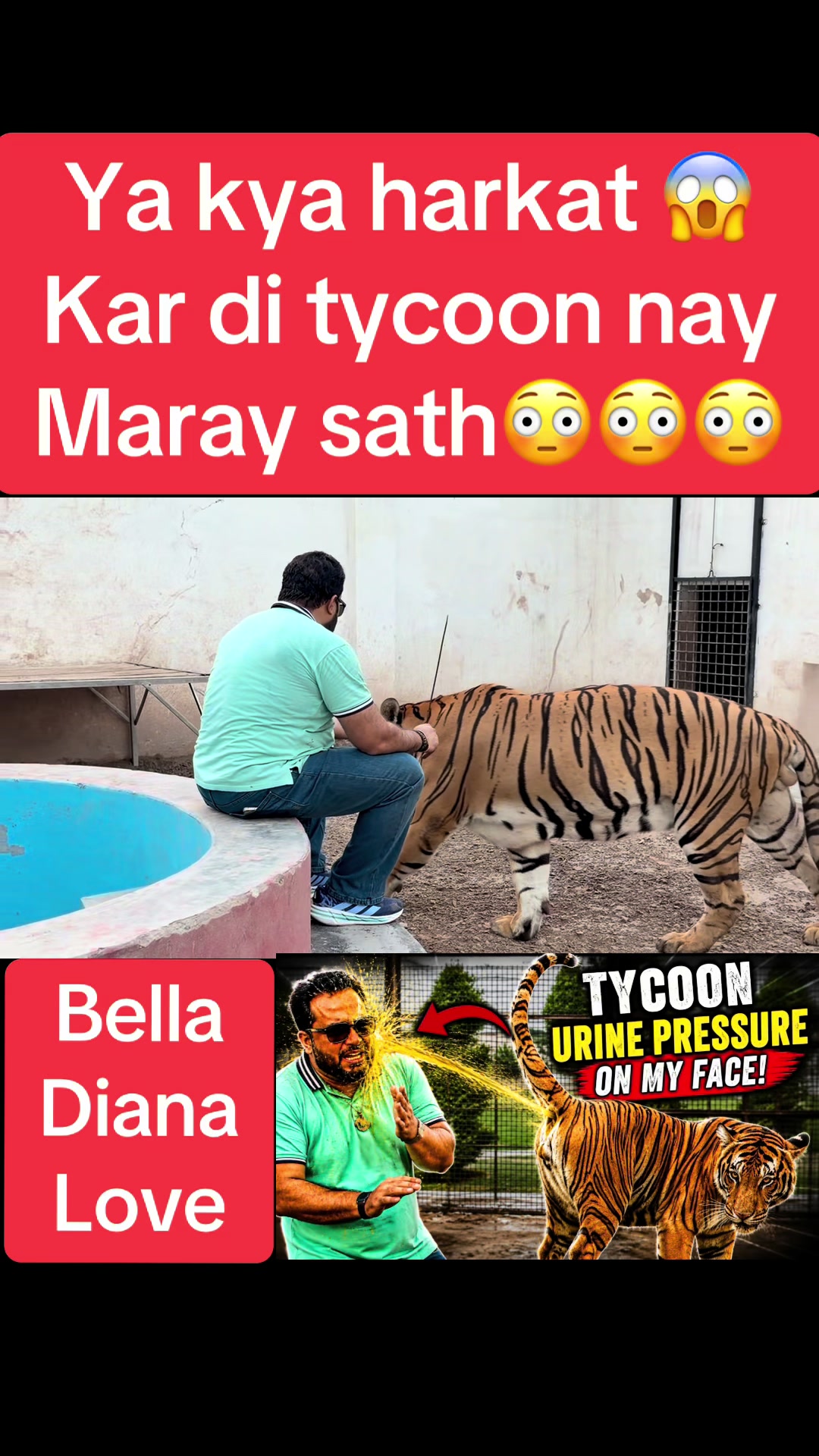 @Mian saqib