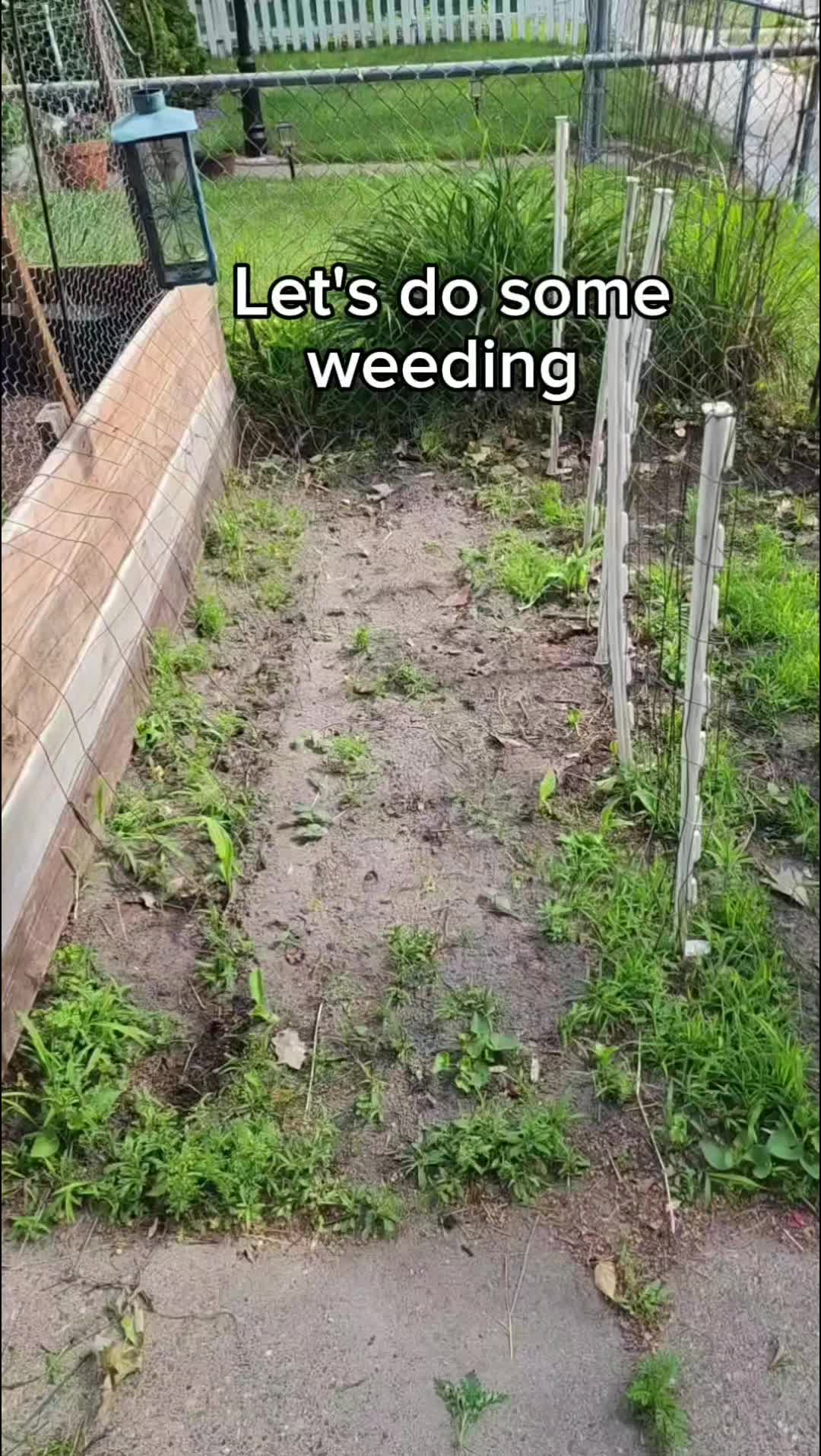 @Alicia ✨️🌱🐛