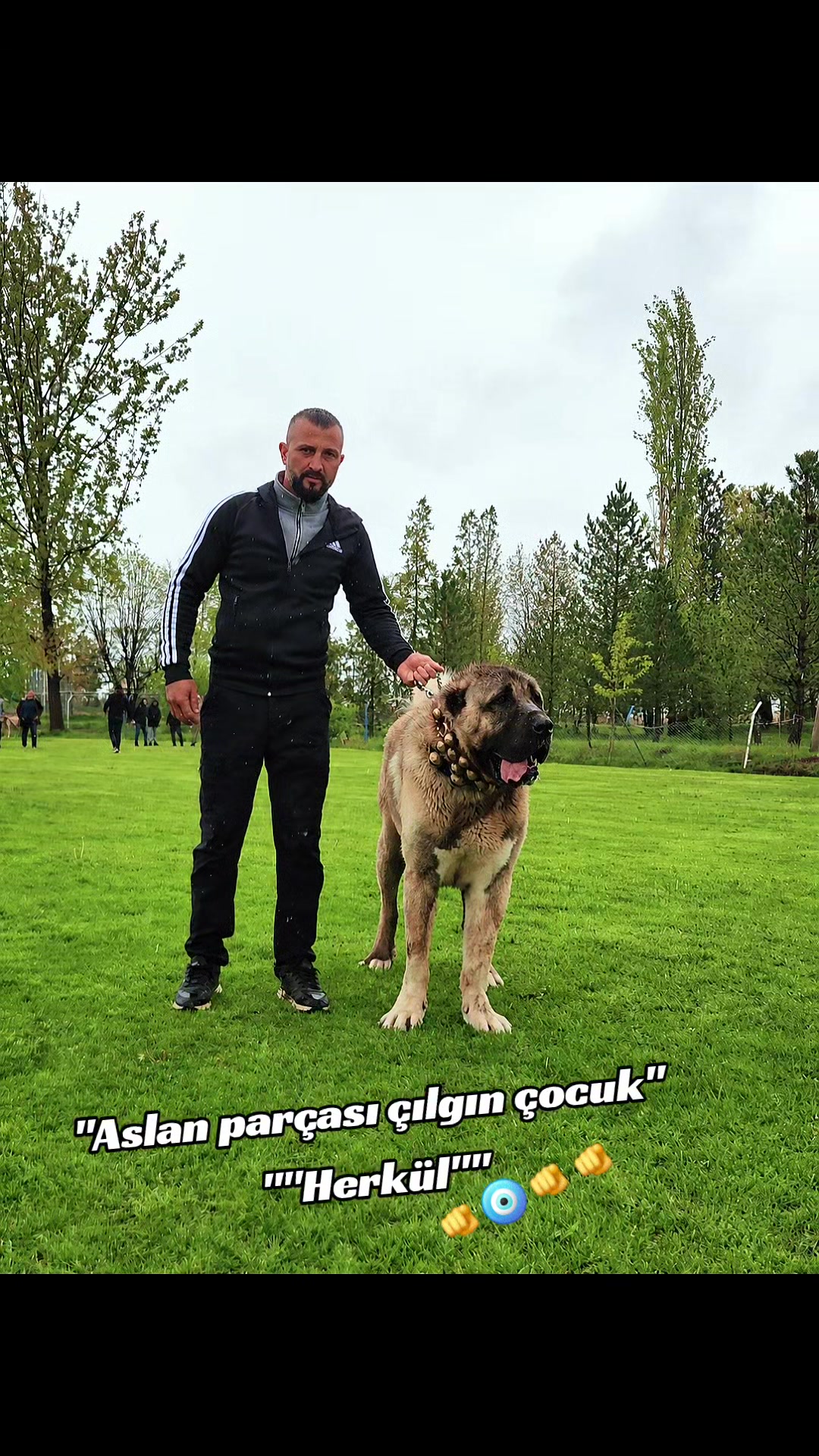 @&Ouml;zkan Kaya