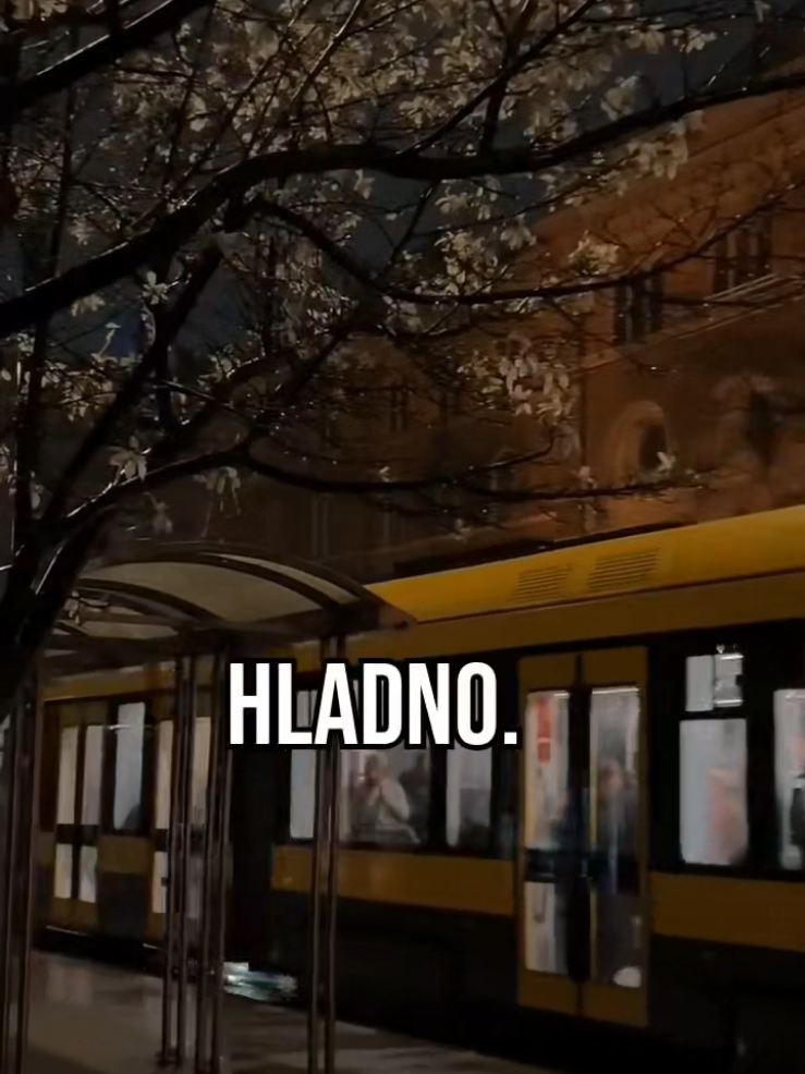 @Hadžibeg