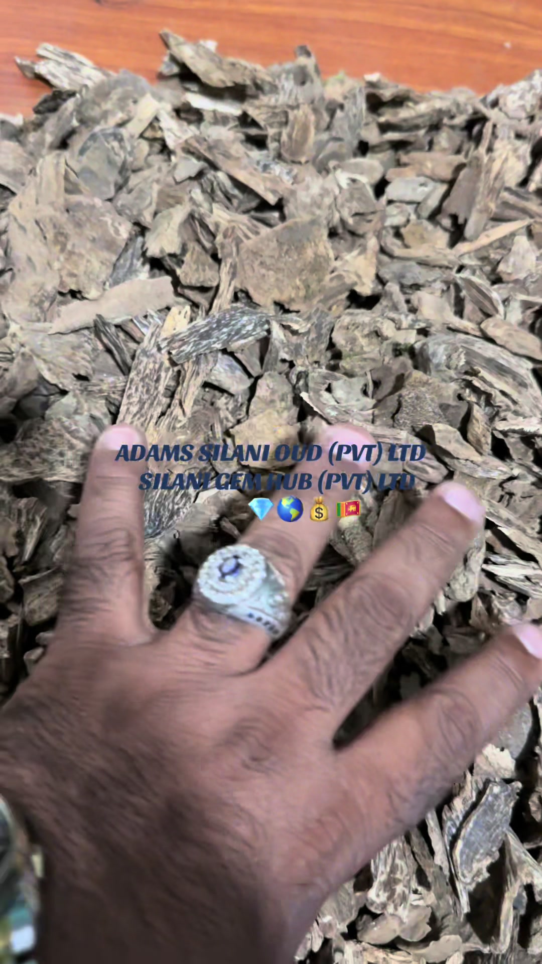 @musathiq