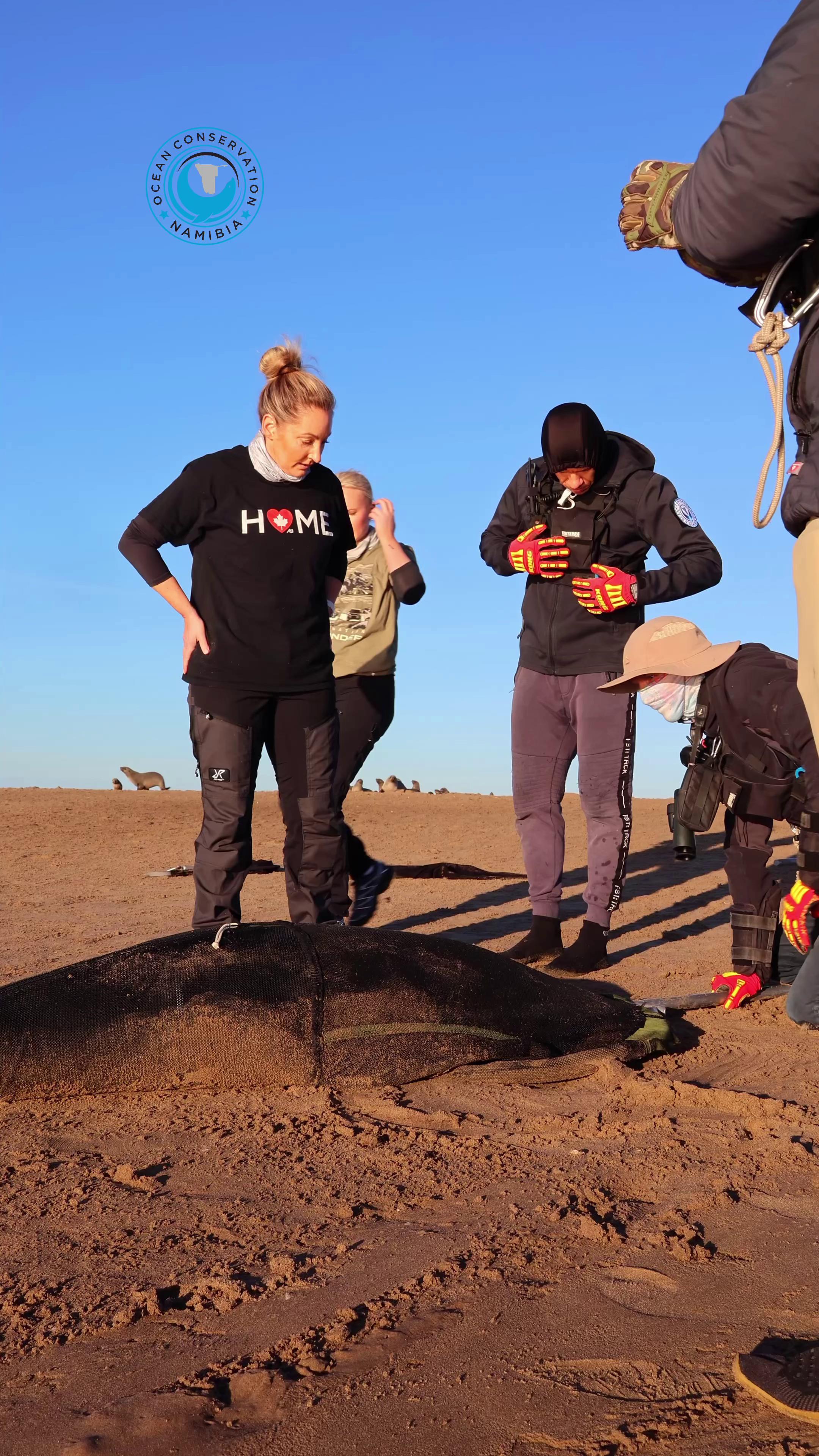 @Ocean Conservation Namibia