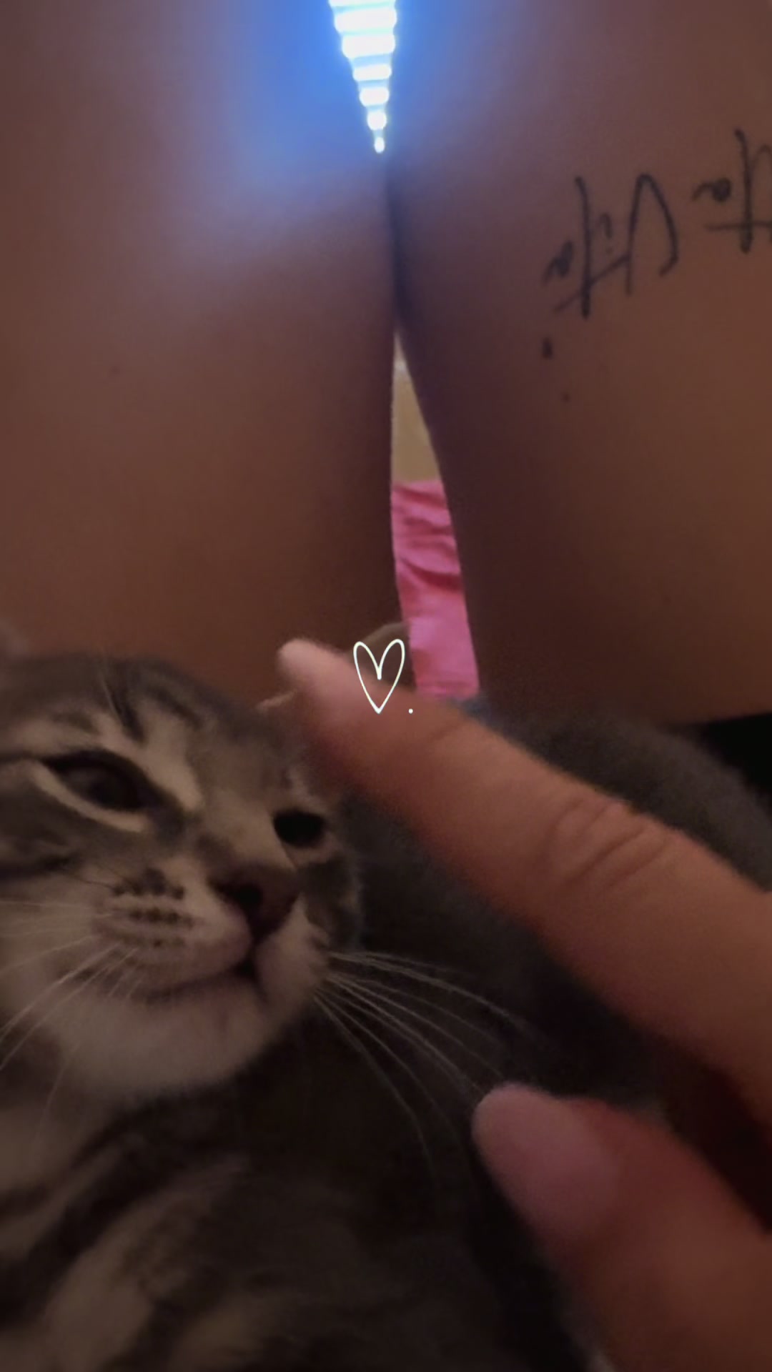 @adele.martellucci1