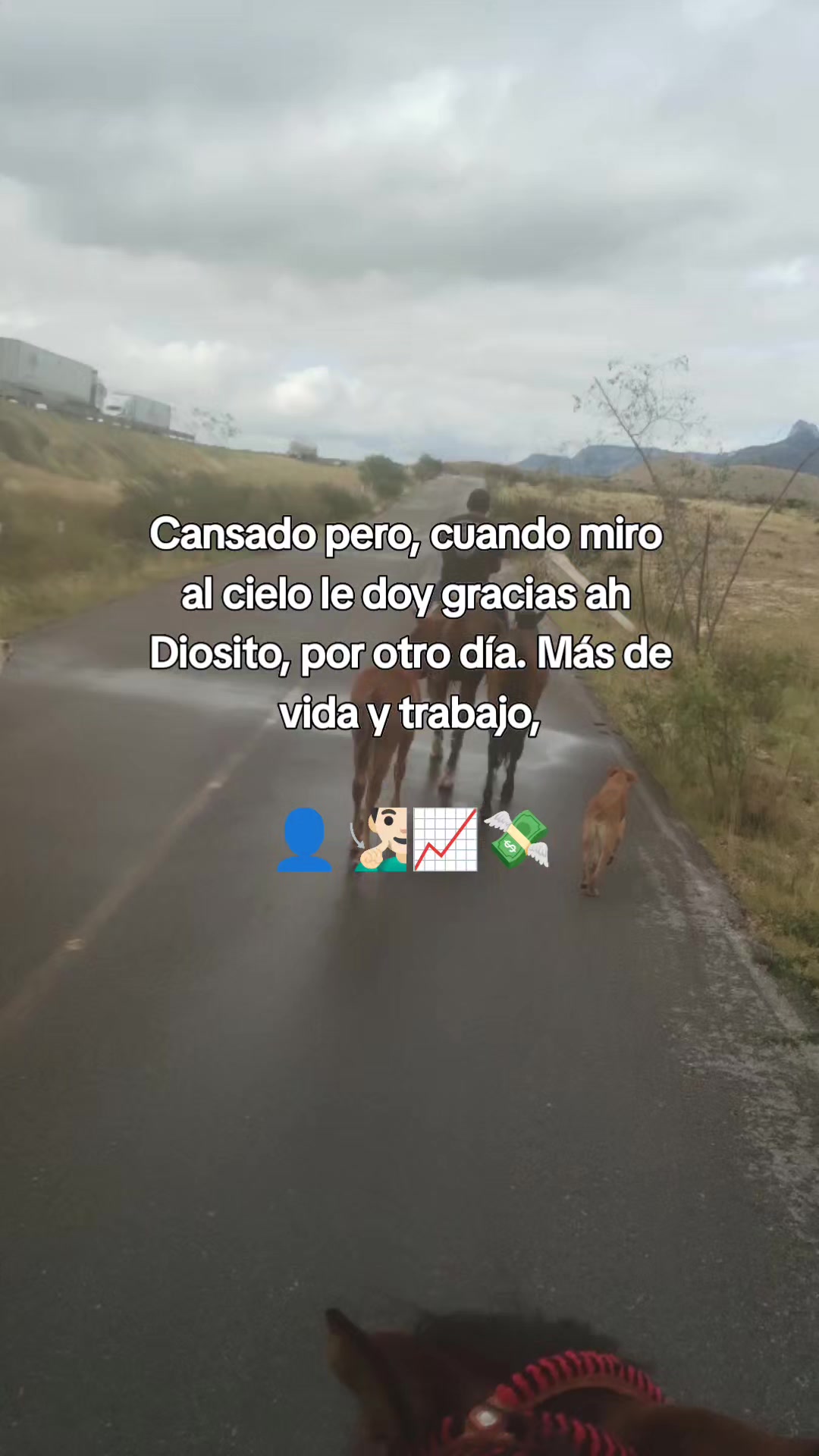 @Herrera 55333