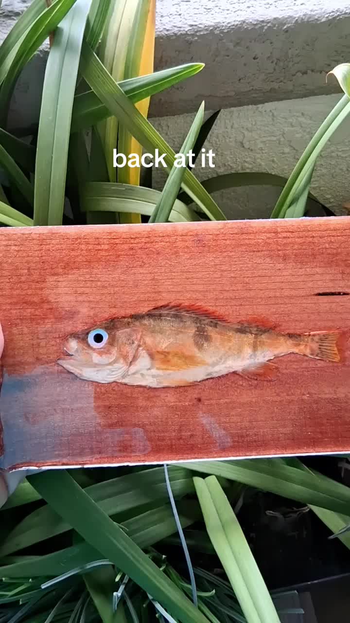 @Fish Skin Lures