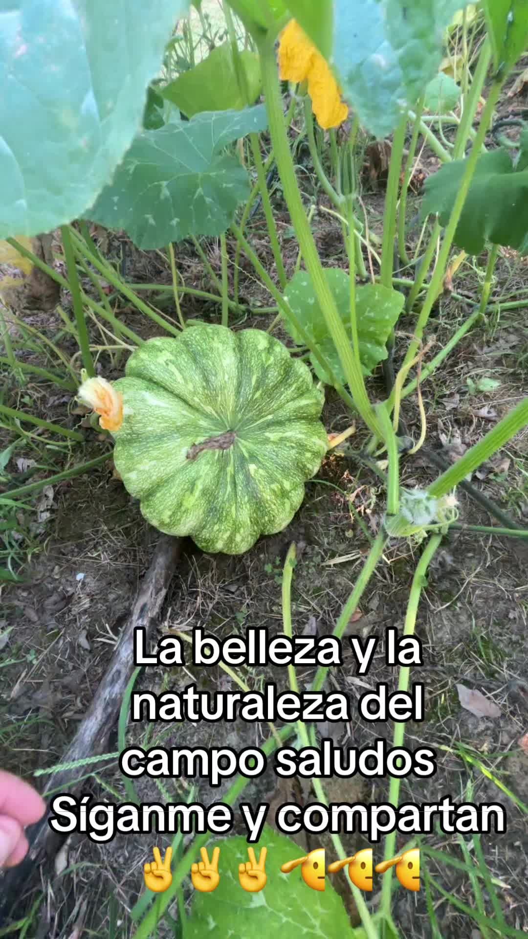 @R-A Cruz