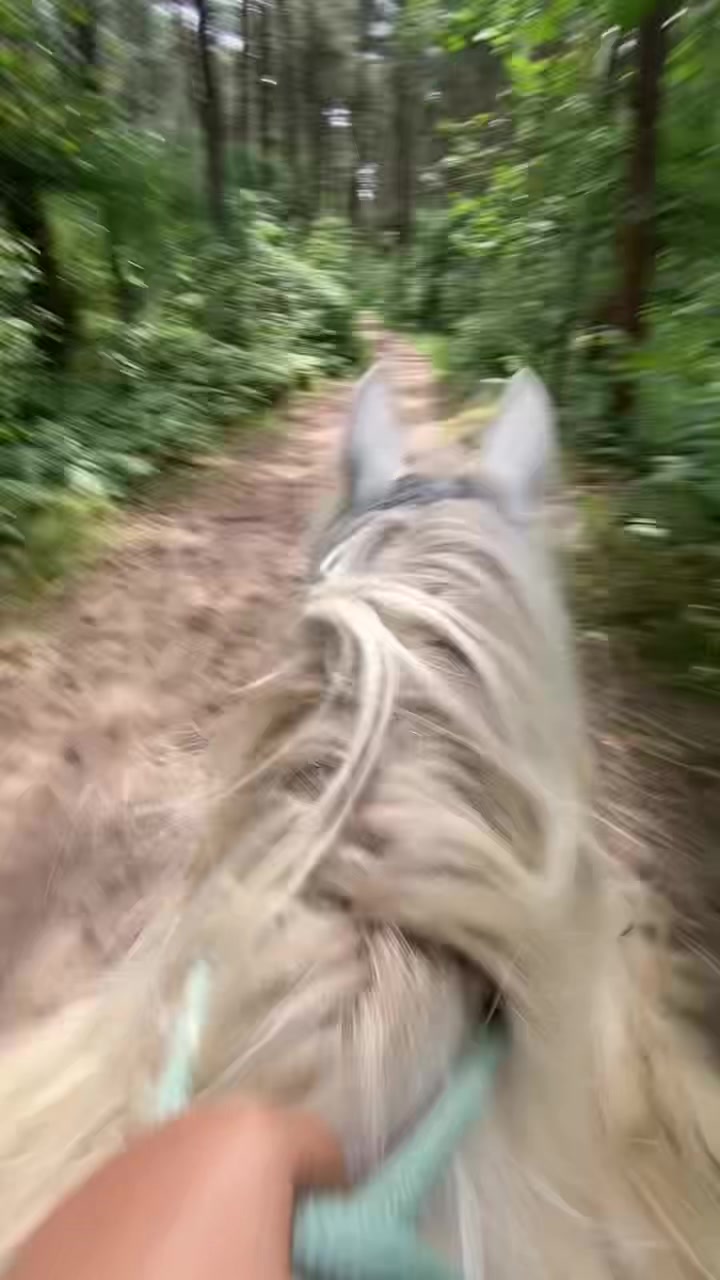@Amy 🫶🏻🐴