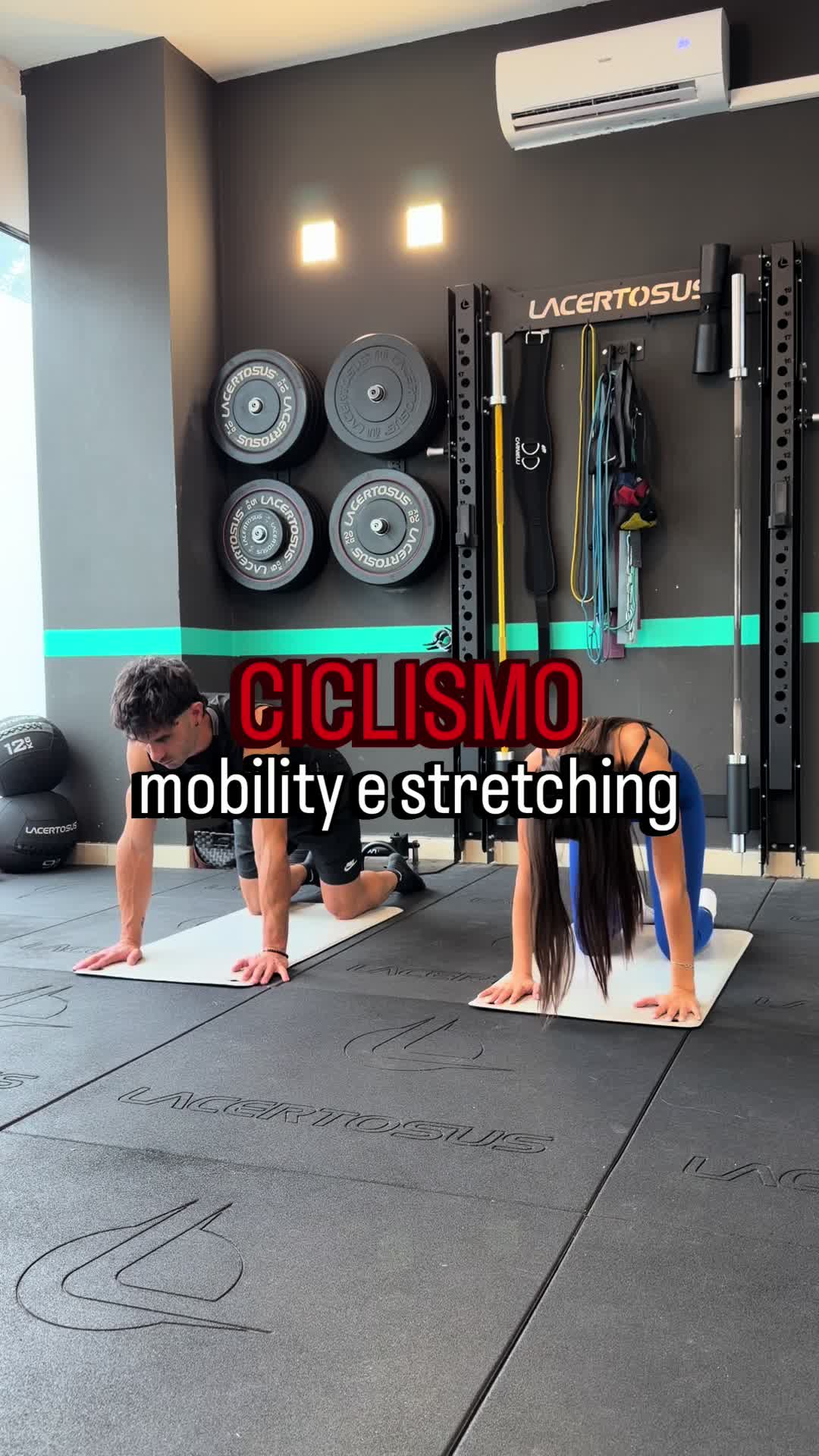 @Flamigni Trainer