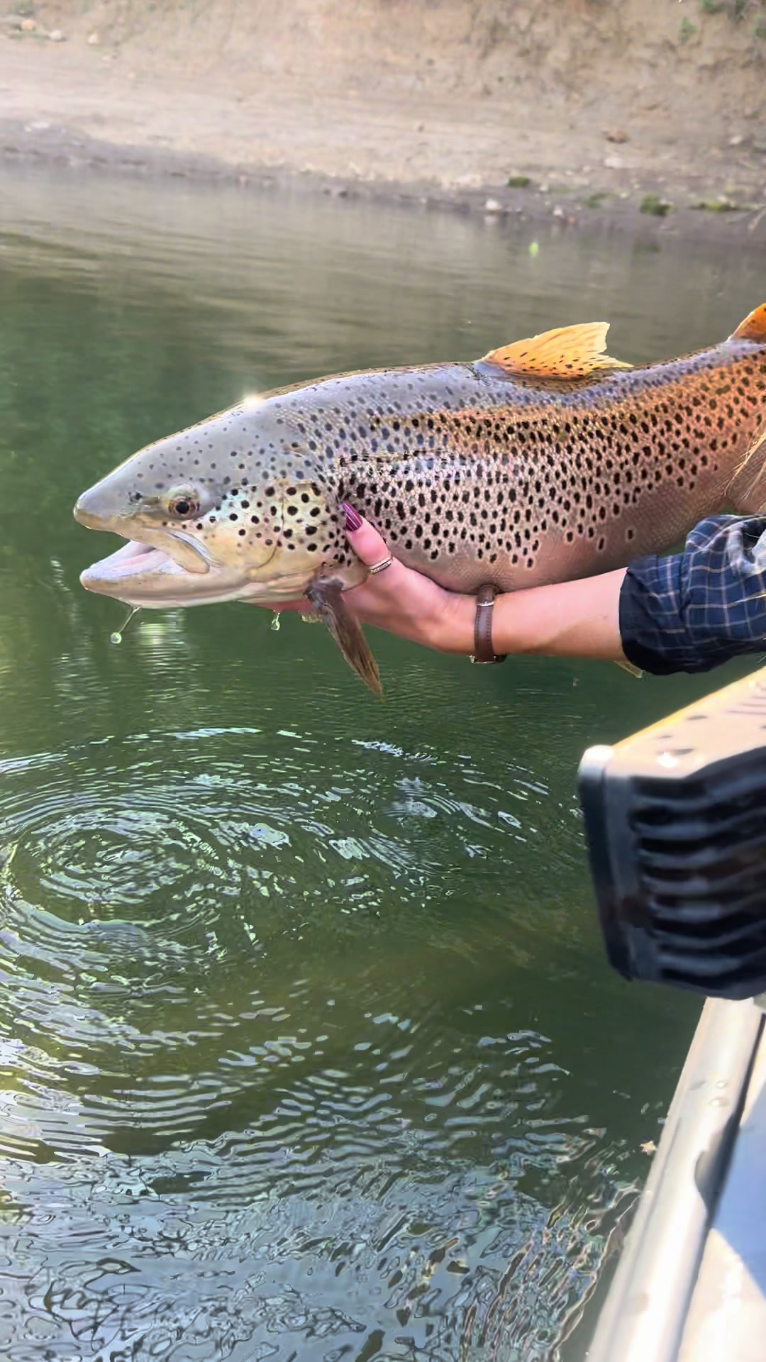 @madison ๐ ๐ ๐