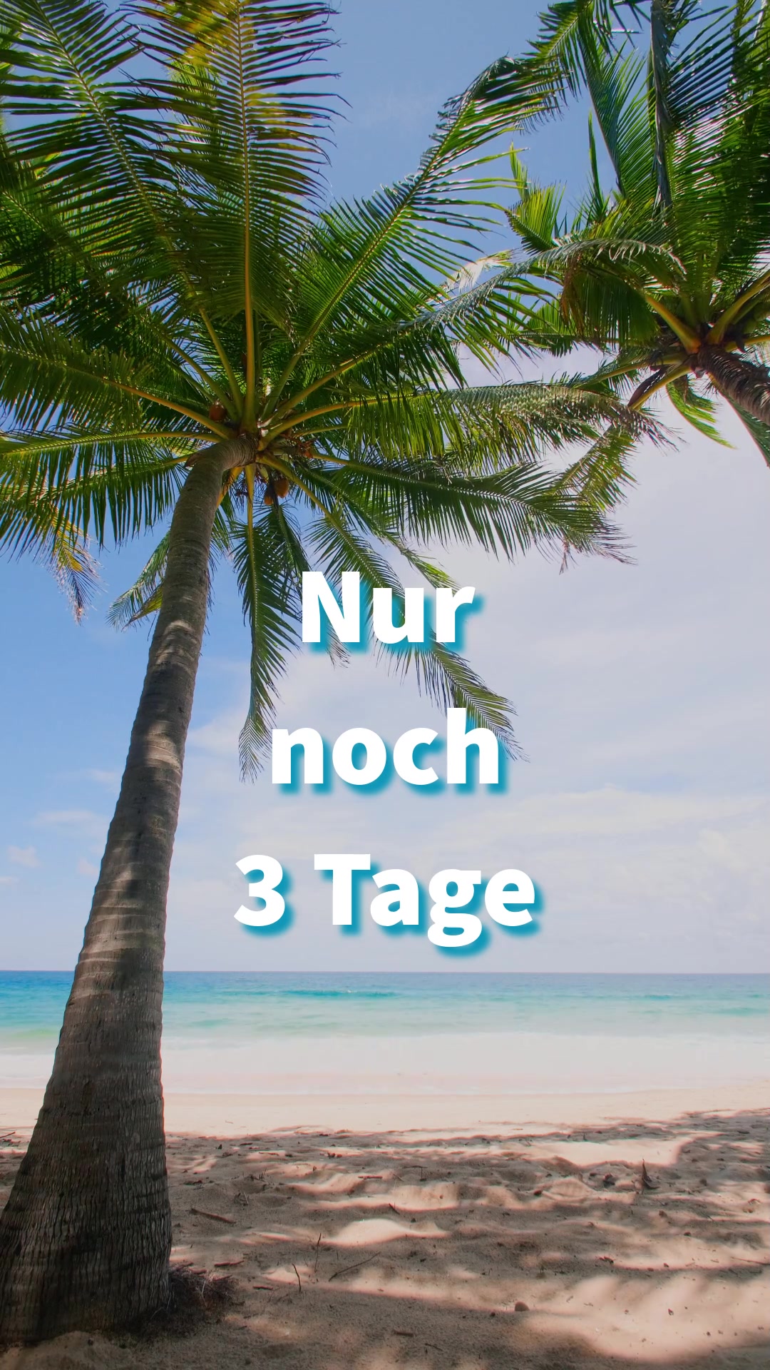 @XXL Mode bis Größe 70