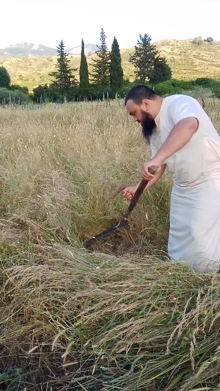 @قناة التوحيد