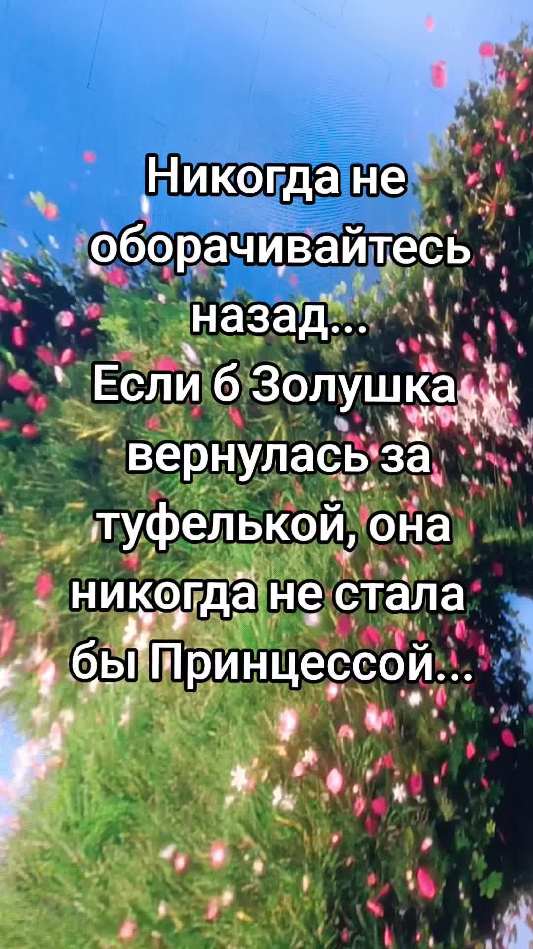 @yanozka