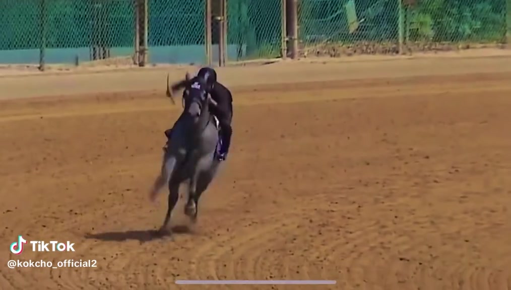 @Madonia 🐎