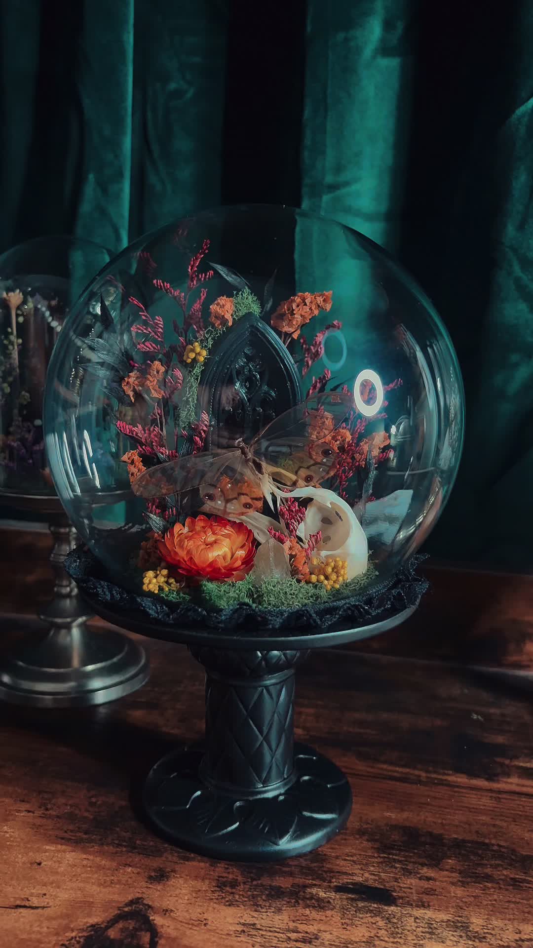 @deadhilloddities