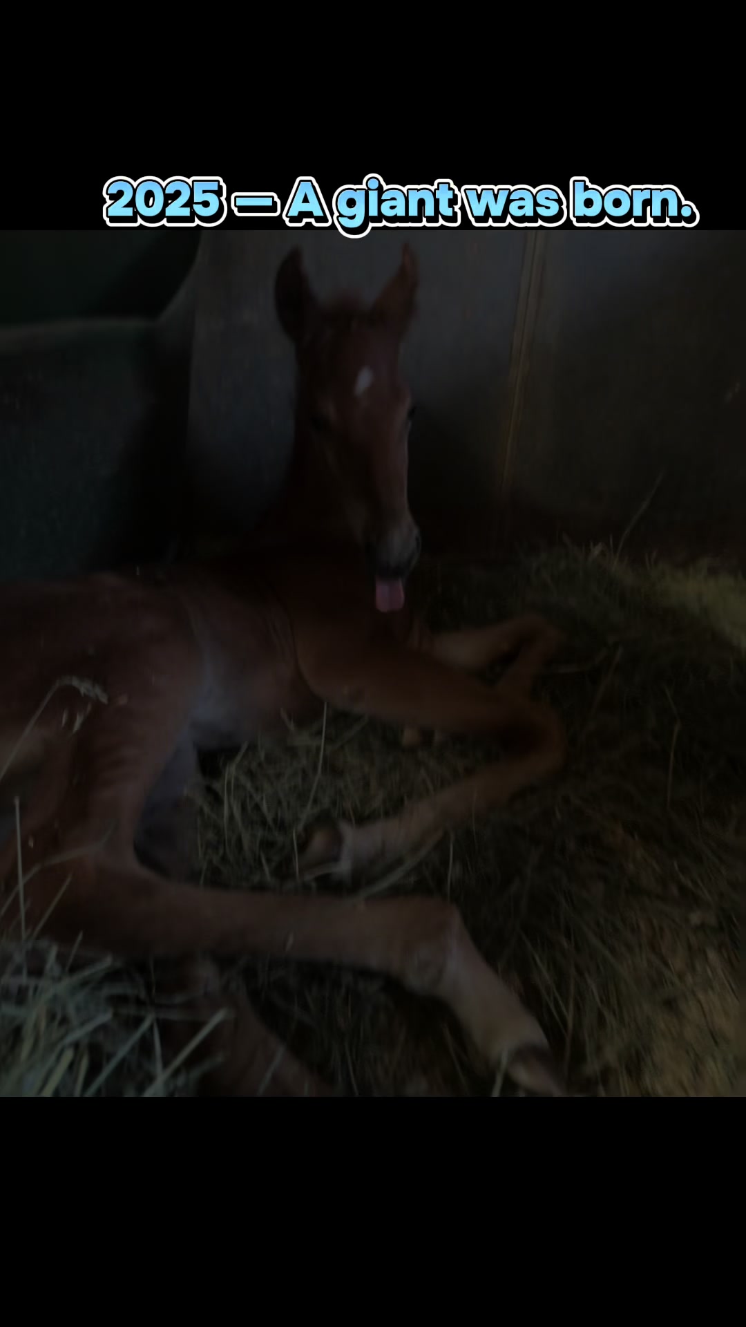 @BoeRanch14