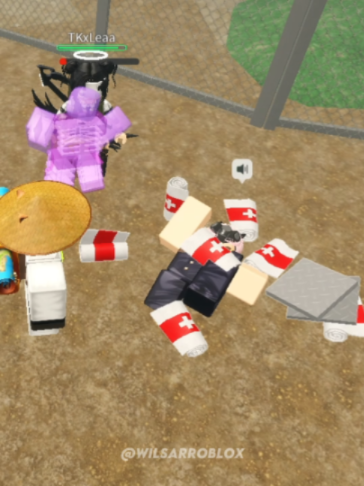 @Wilsar Roblox