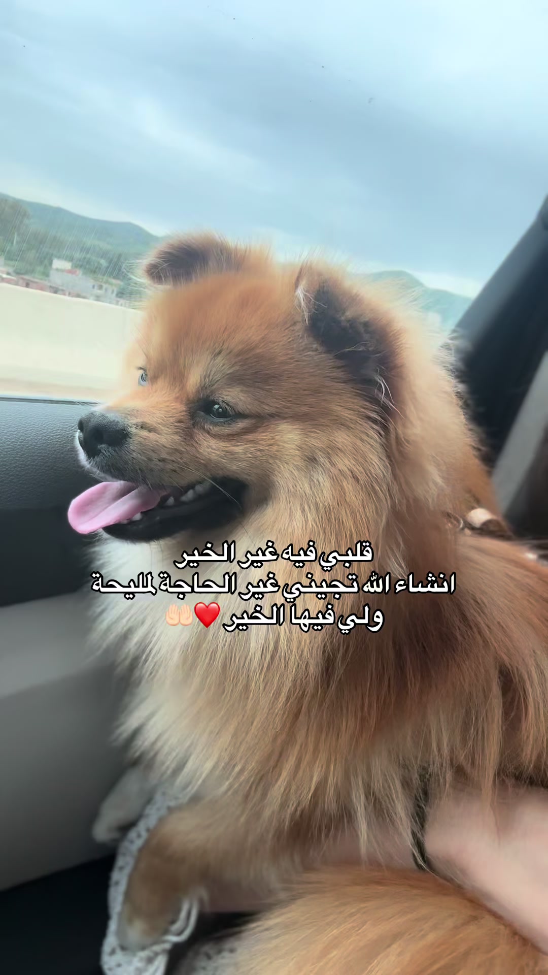 @HADYL