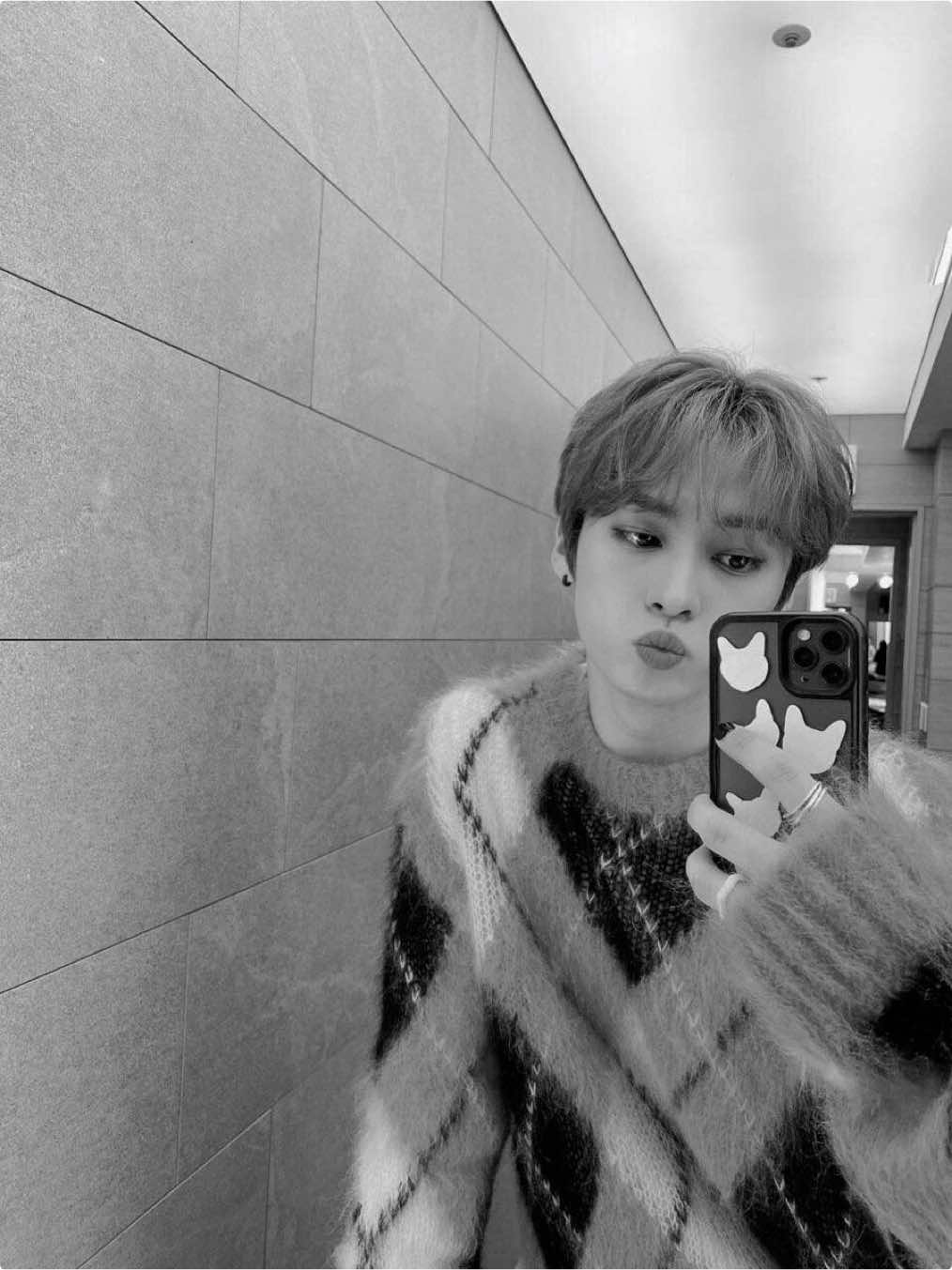 @//vvolqq//minho ver🐰