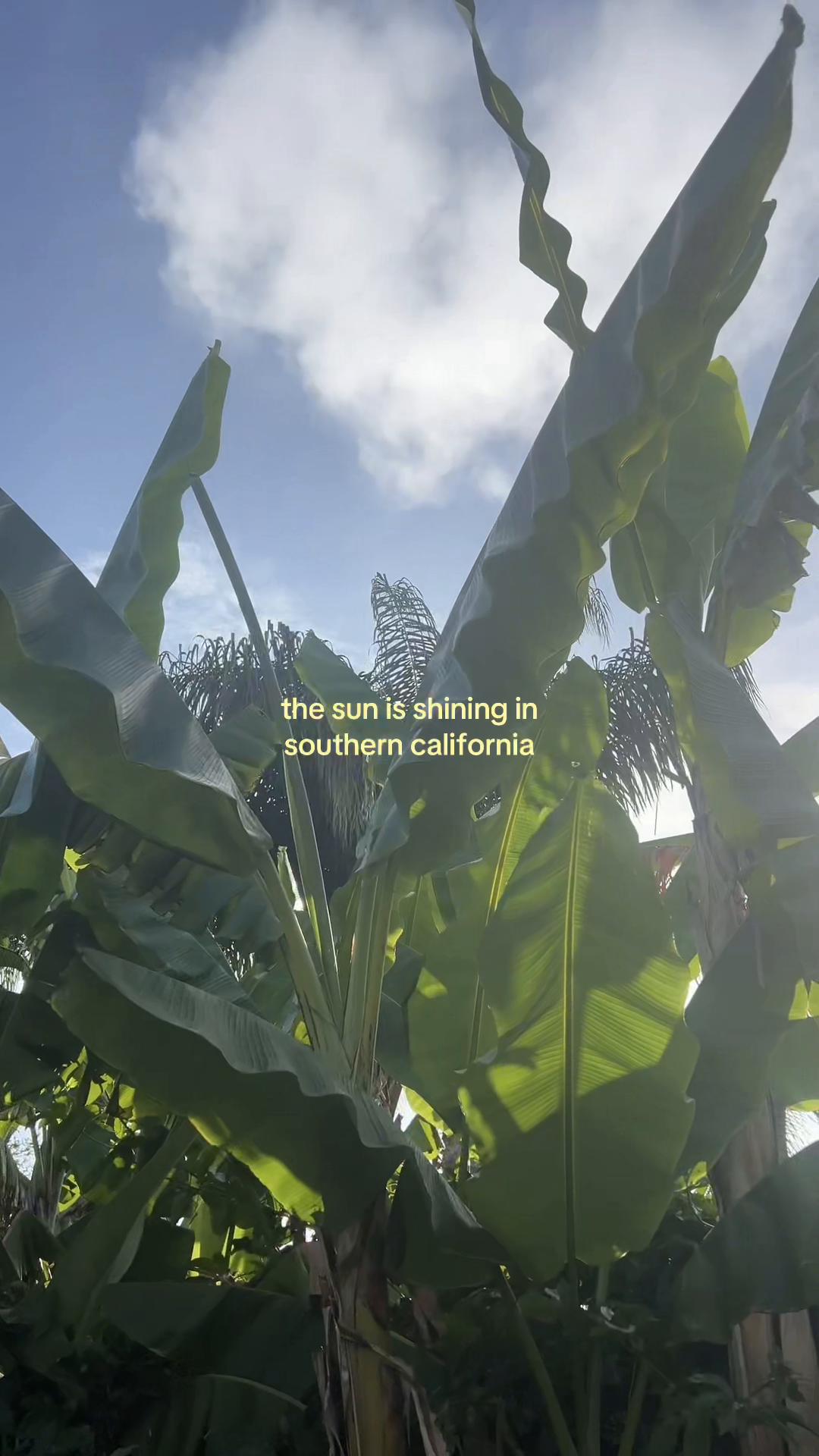 @alexandra
