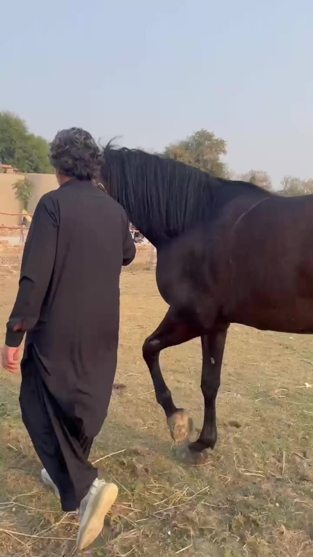 @Najaf Ali Memon 👑