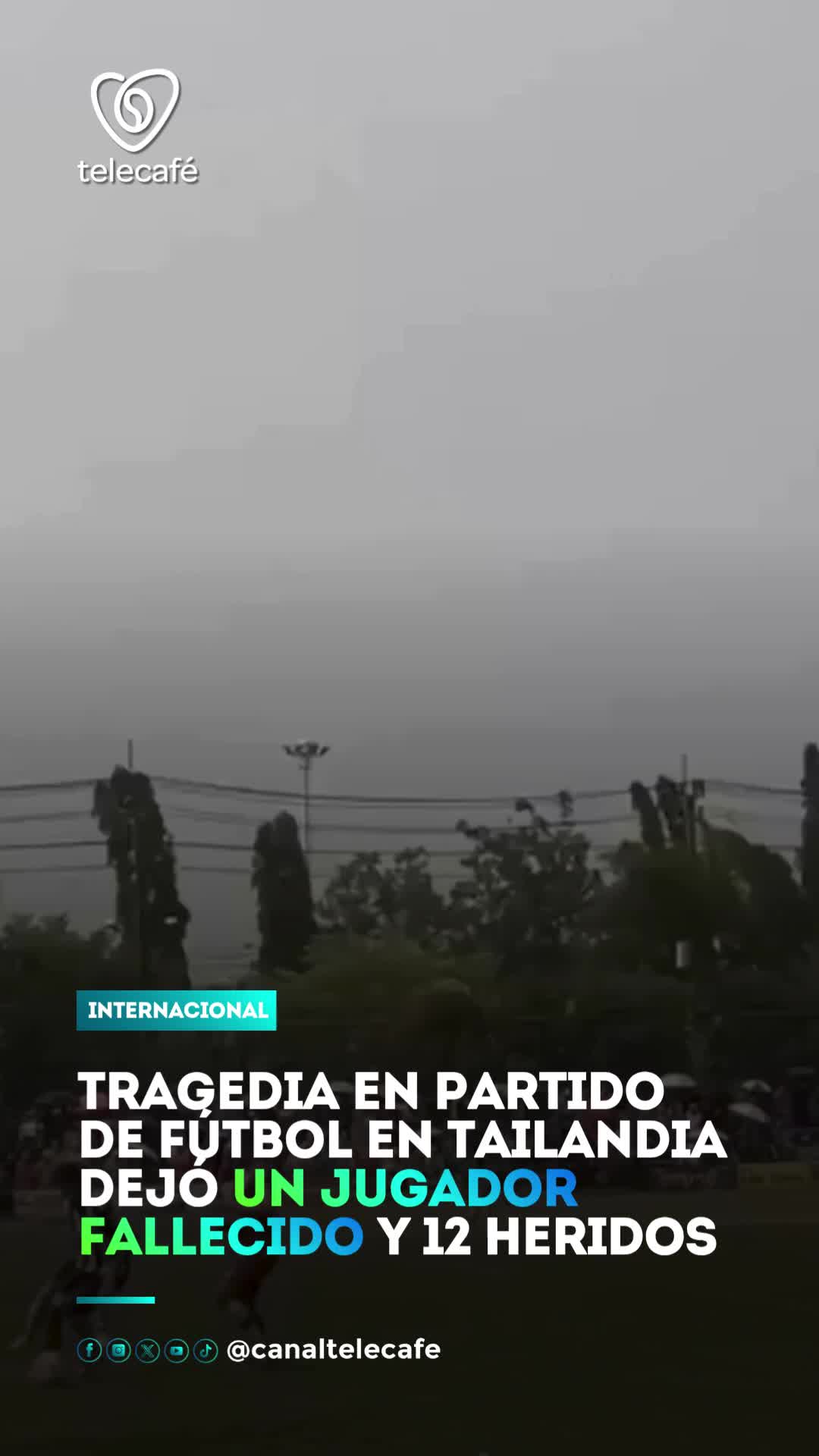 @Canal Telecafé
