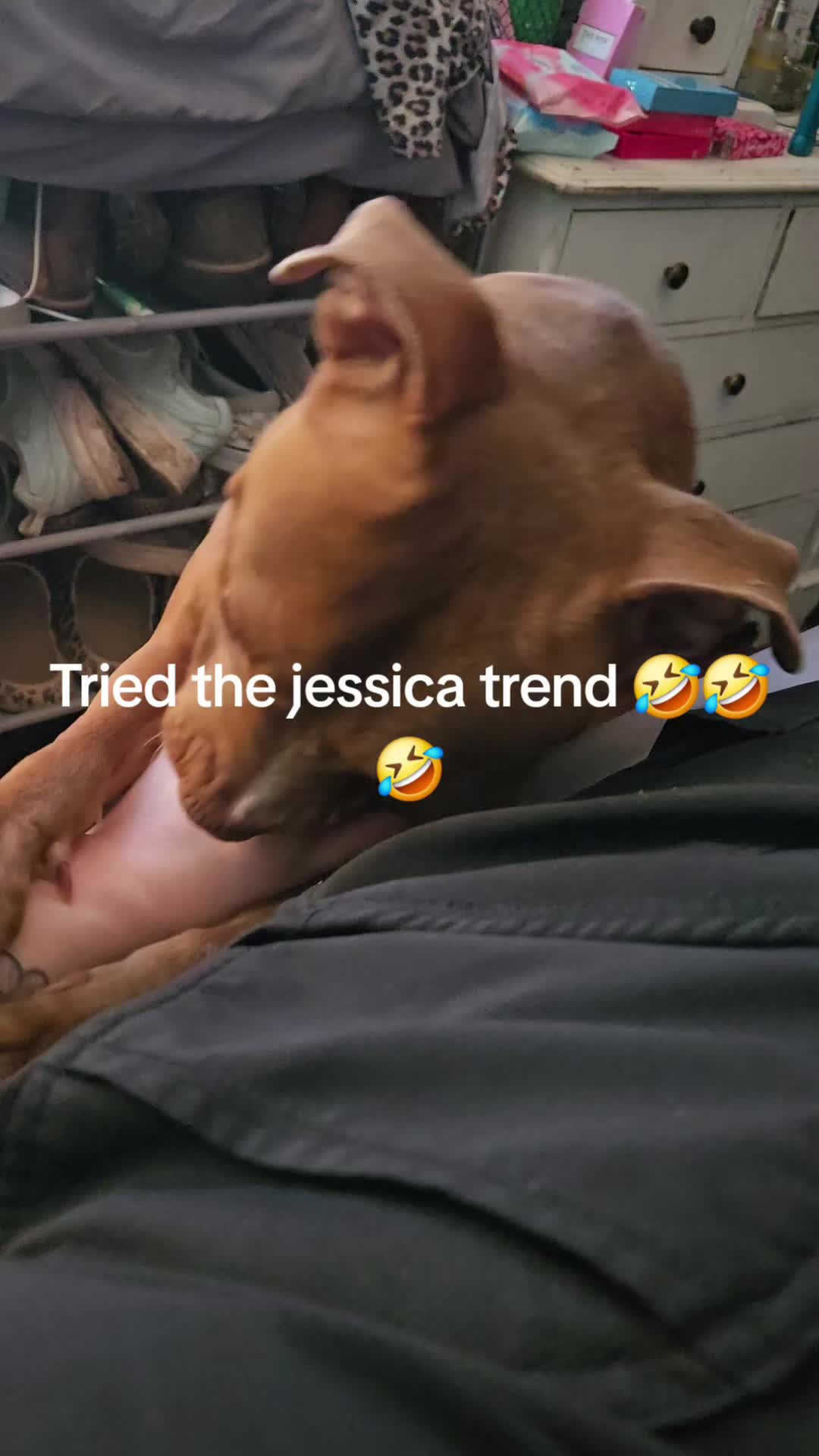 @Kristin & Diesel the Pittie 💕
