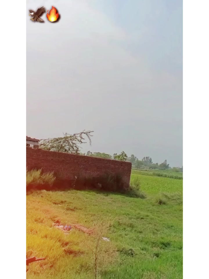 @༆☆جٹ(منڈی) آلہ☆