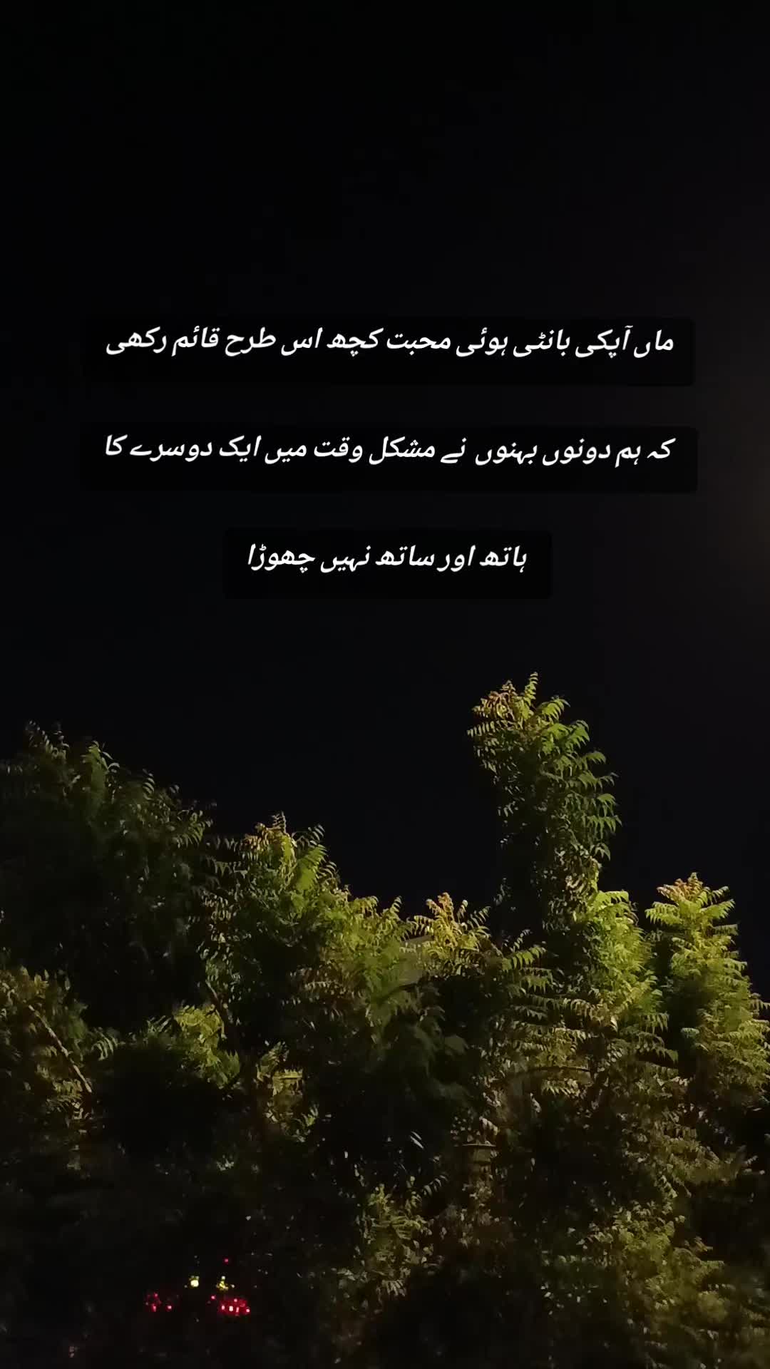 @_.laybz 🦢