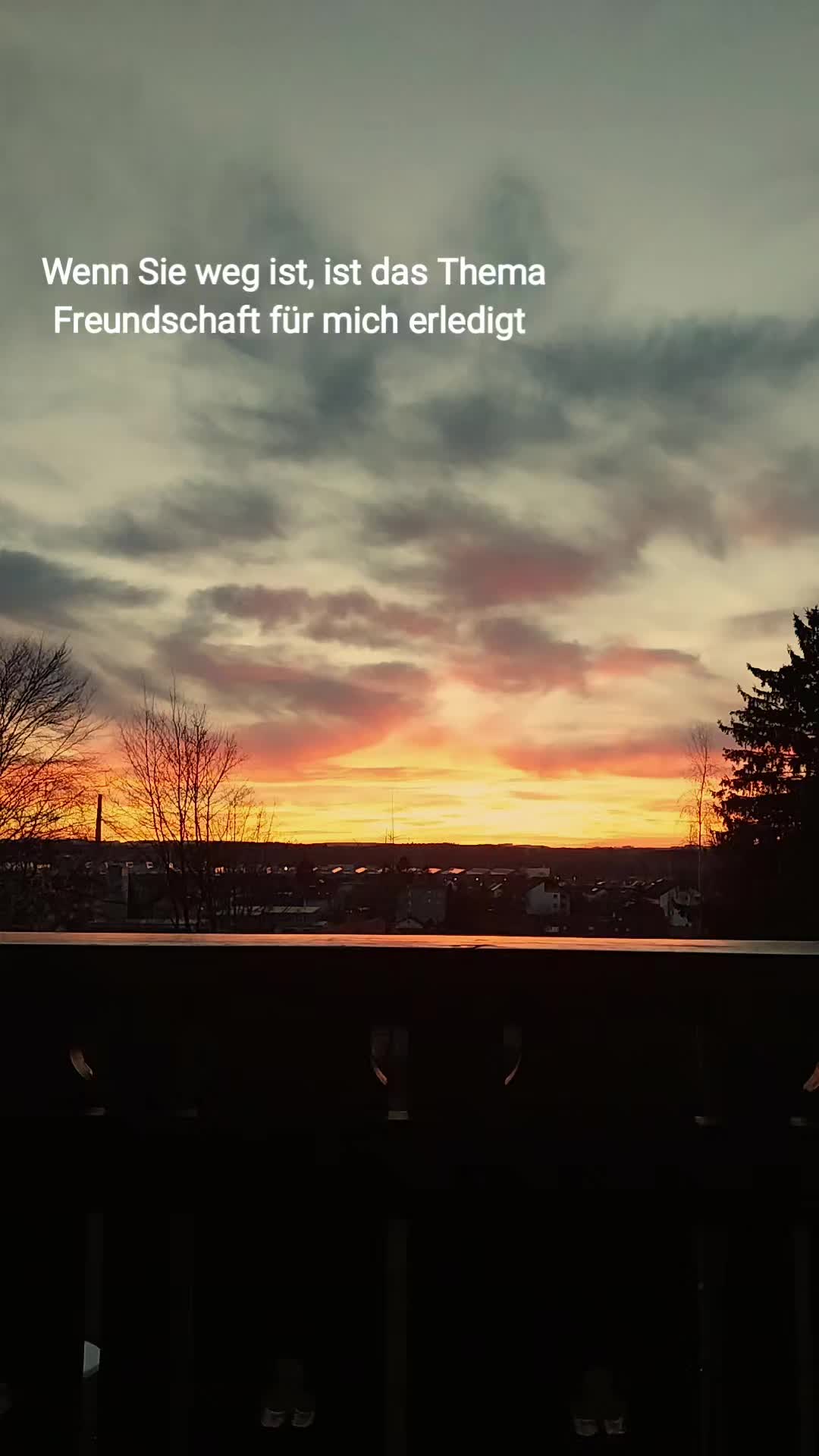 @Bella