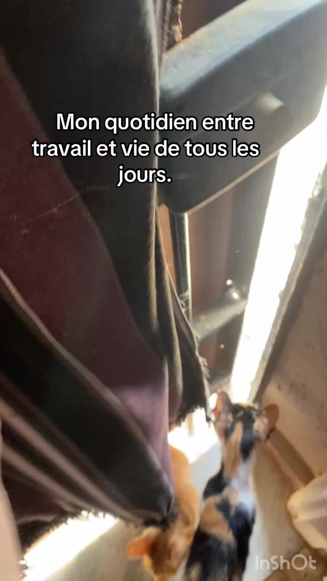 @Isabelle 🇫🇷 ma hijra en 🇩🇿