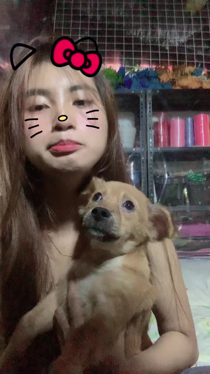 @chinny