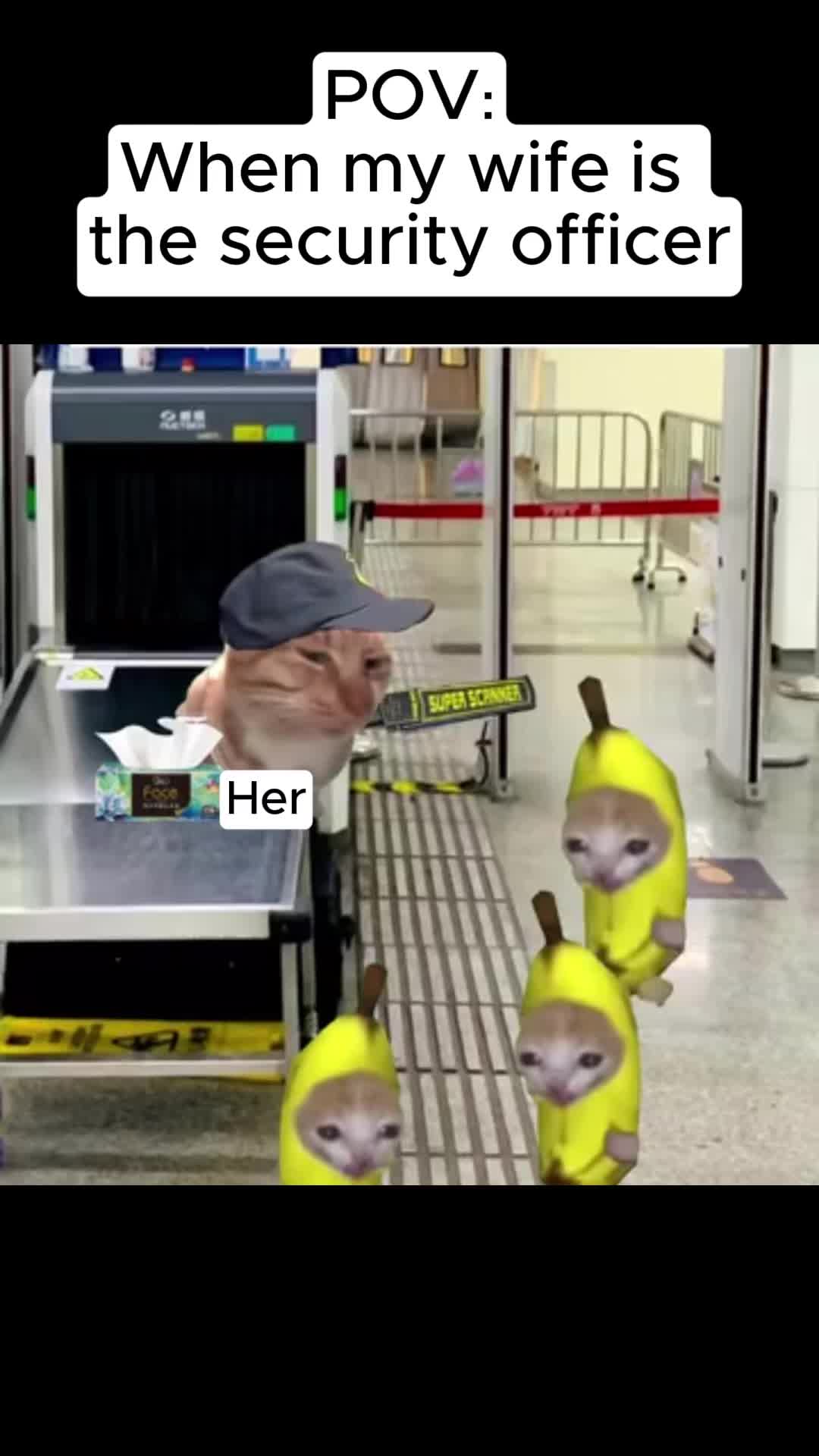 @Meme Meow 🐈🐈⬛