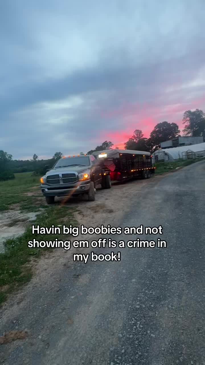 @tripleclivestock