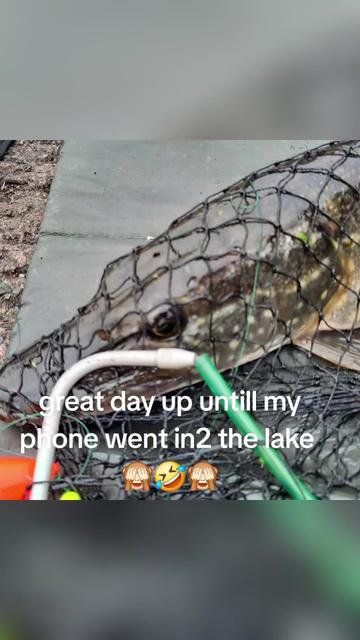 @I'm nobody
