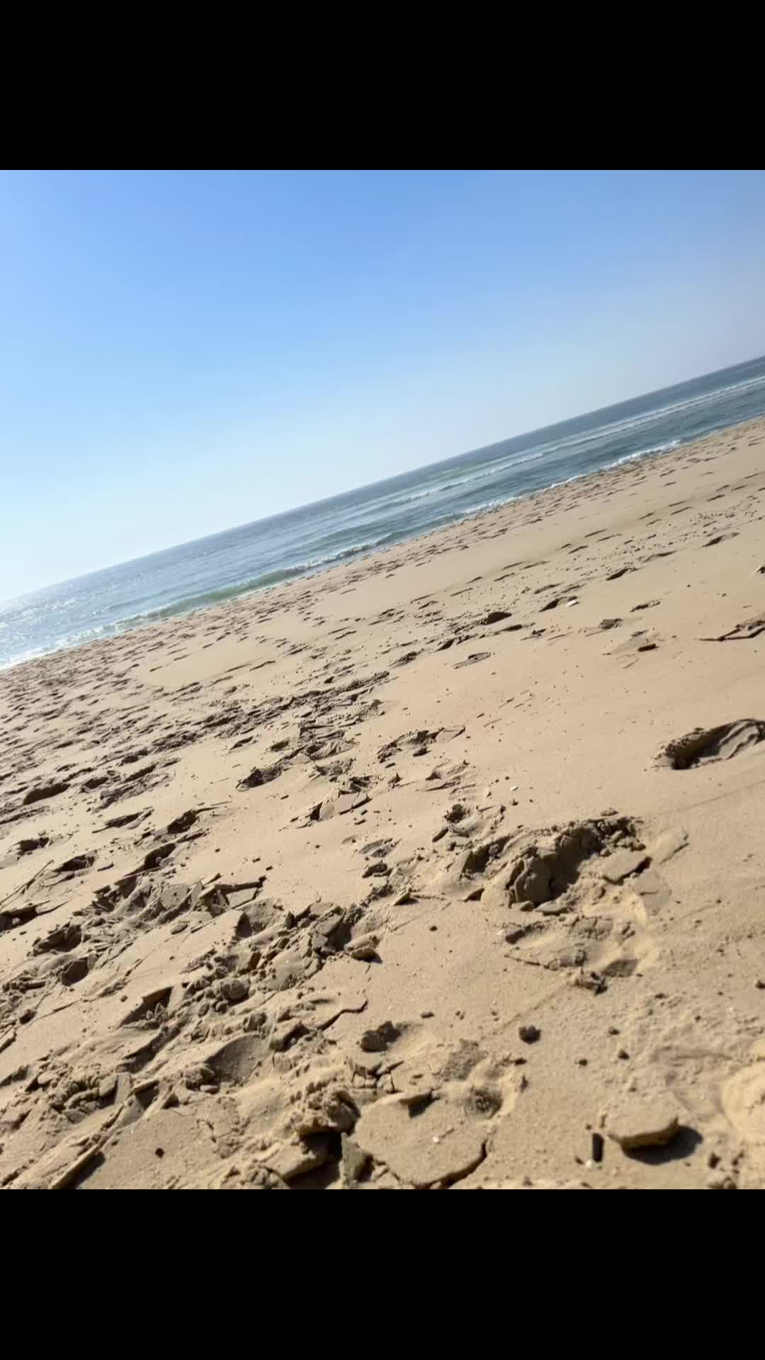 @kevinpinto935