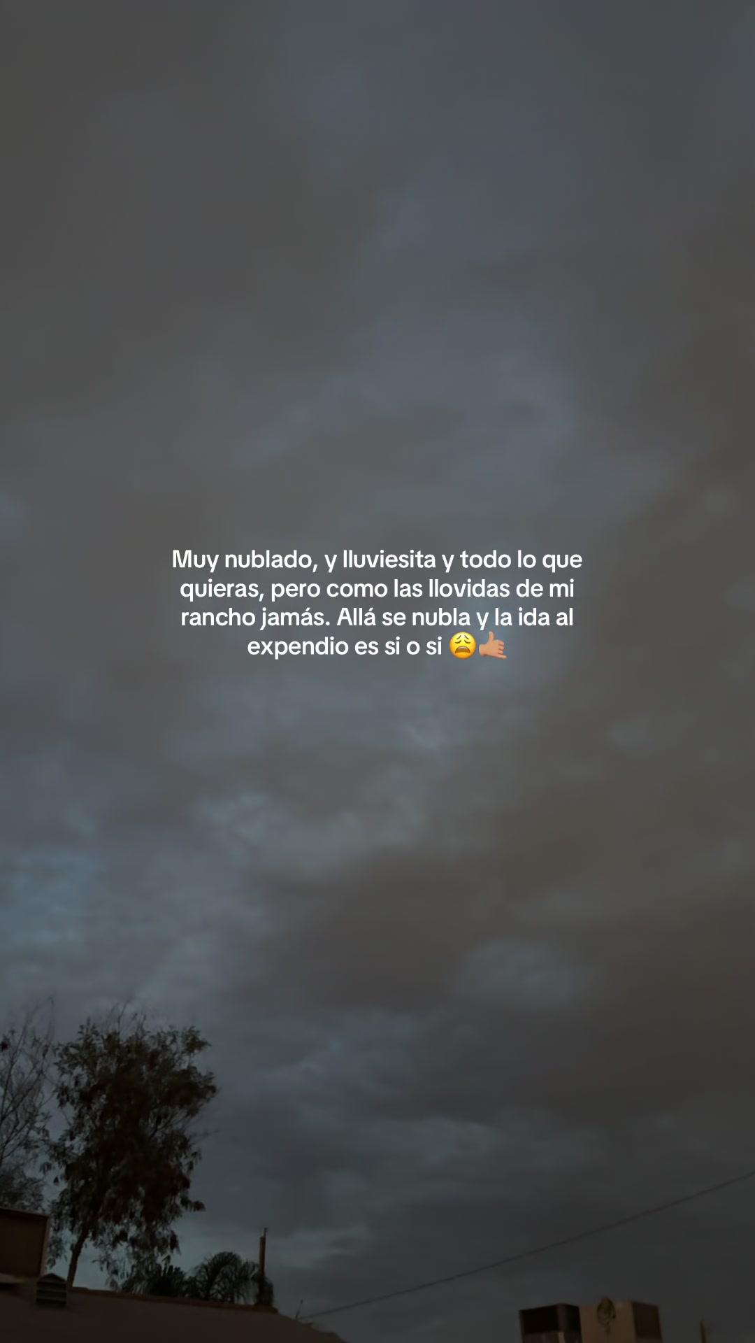 @Spotify