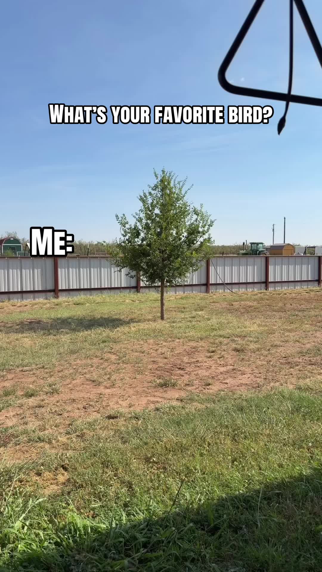 @lc.txmom