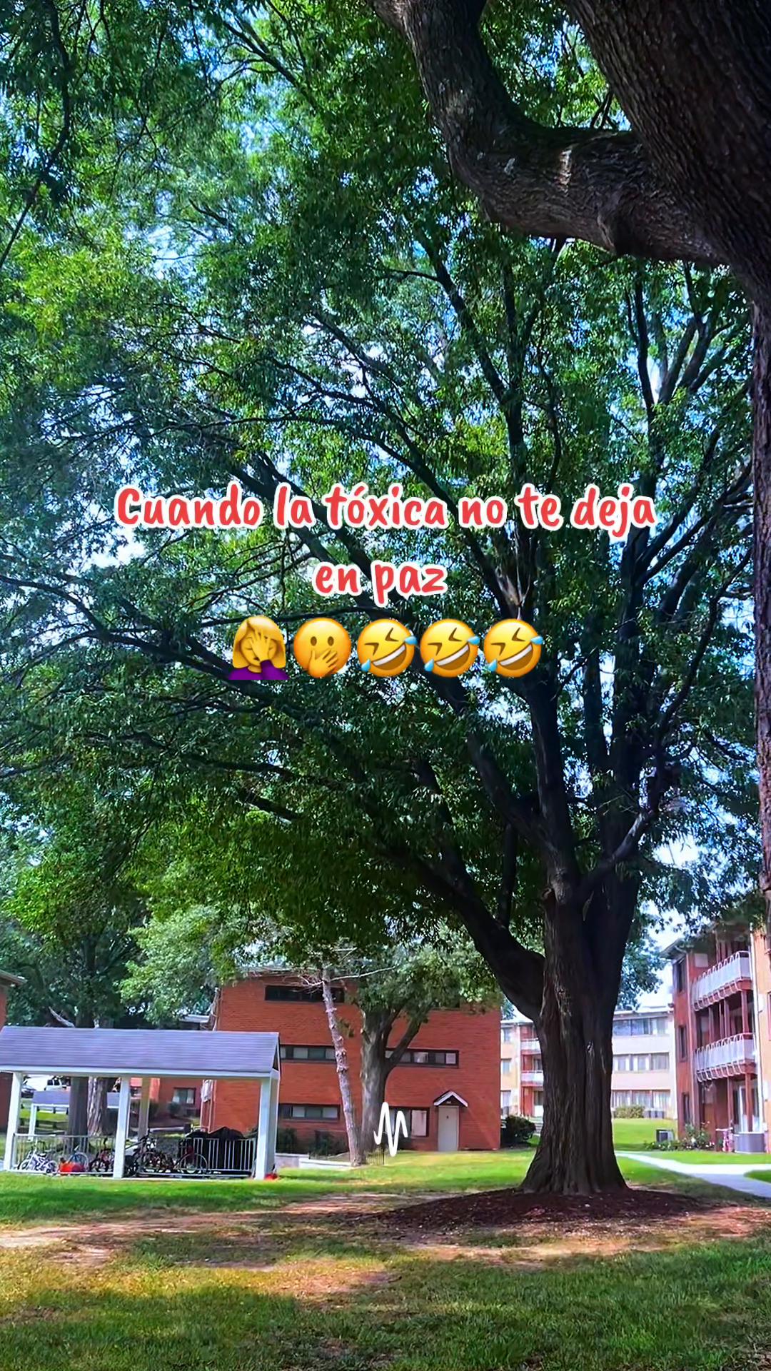 @꓄꒐꓄ꋬ ꃳꄲꆰ꒤꒐ꋊ