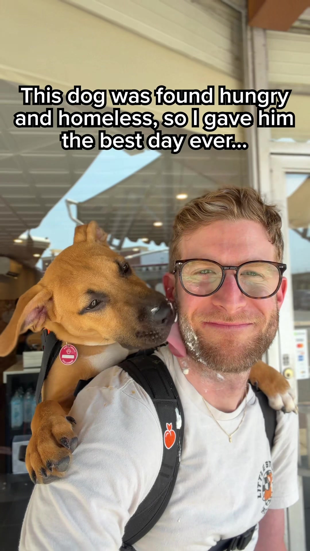 @madmax_fluffyroad