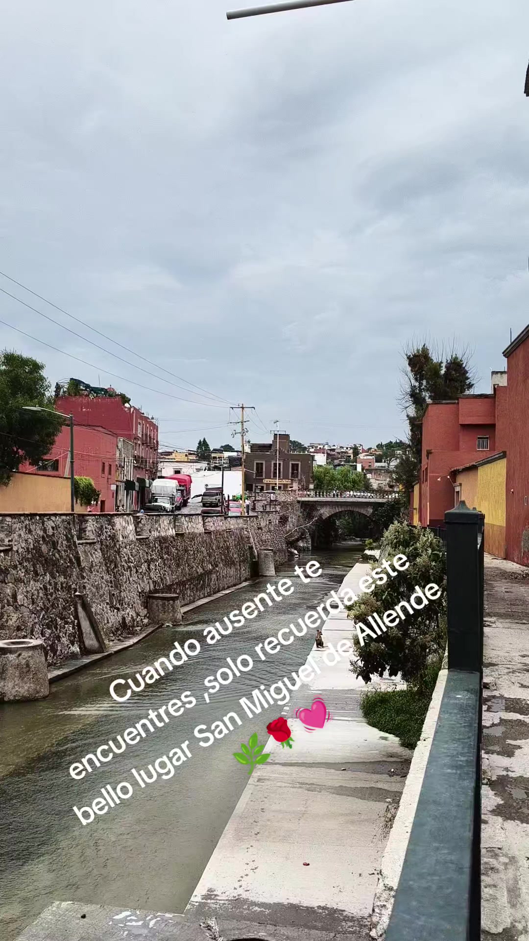 @⭐💞Juanita 💞⭐