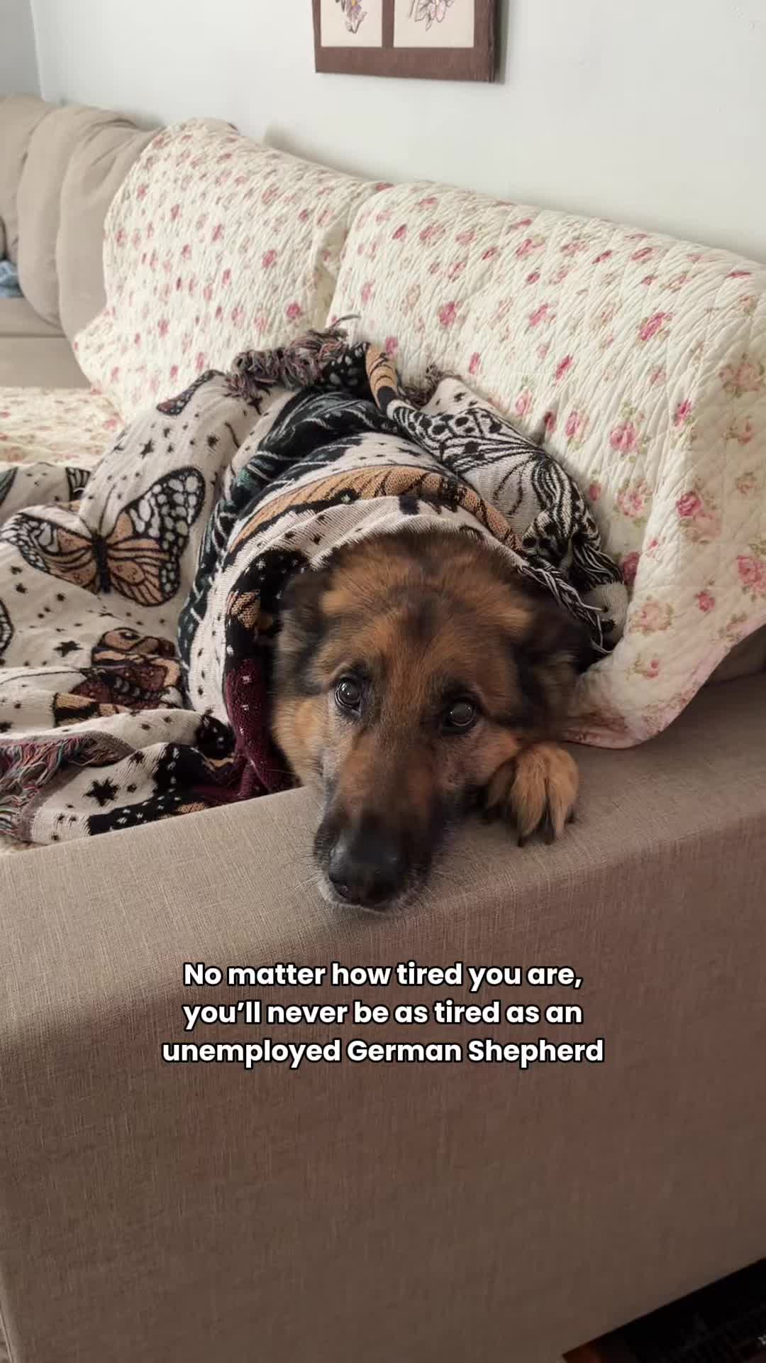 @Best Boy Benson