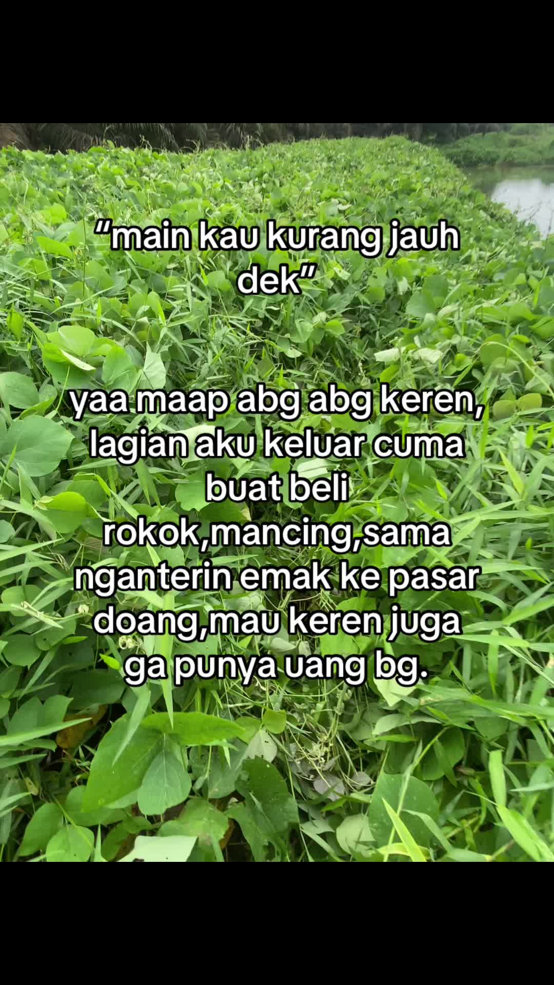 @BAIHAKI