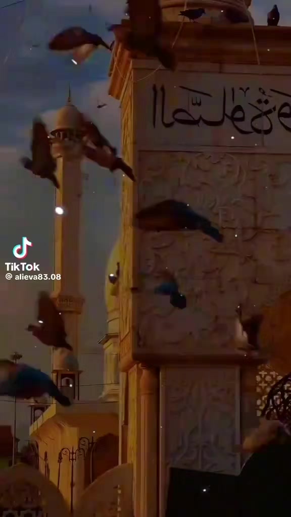 @FAYDALI MƏSLƏHƏTLƏR