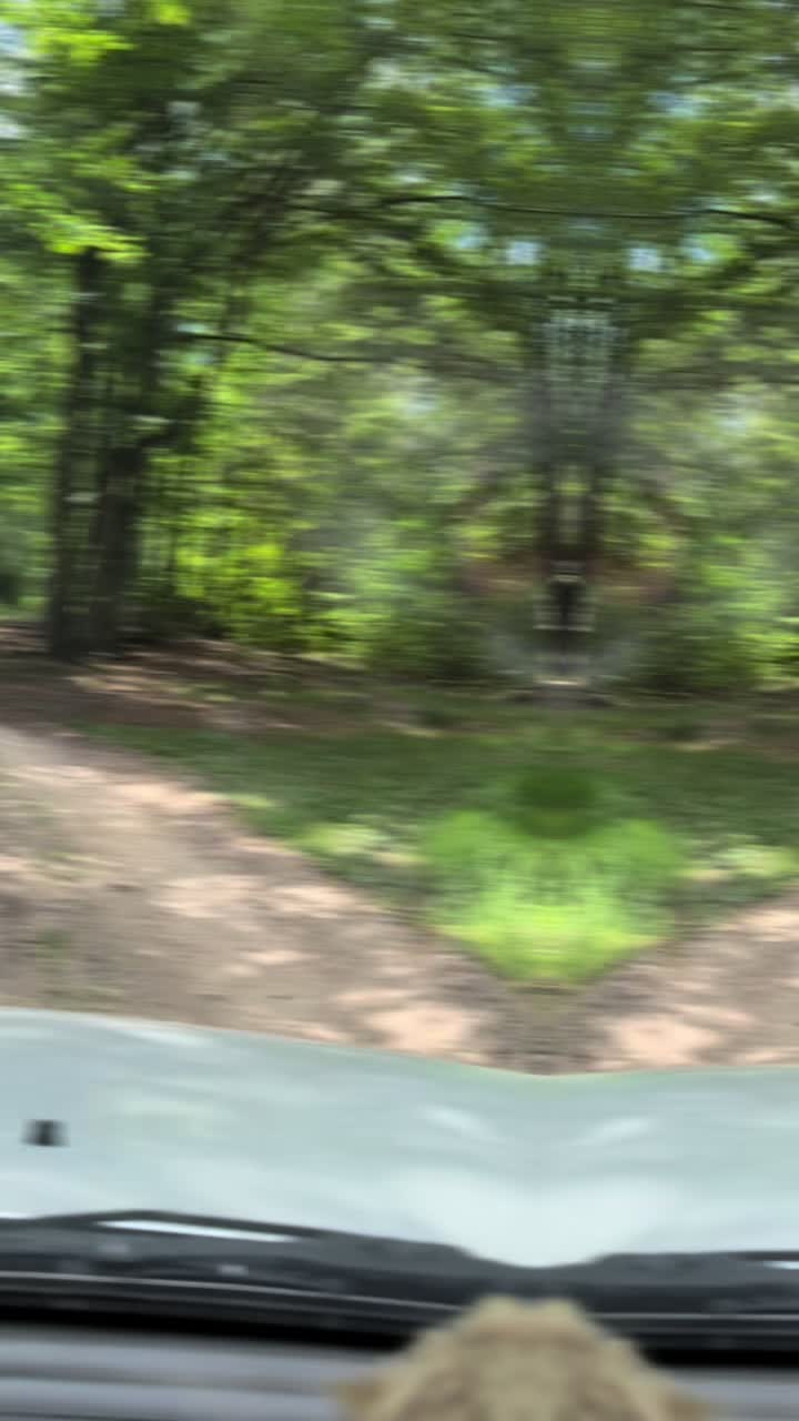 @moczii🐇💫